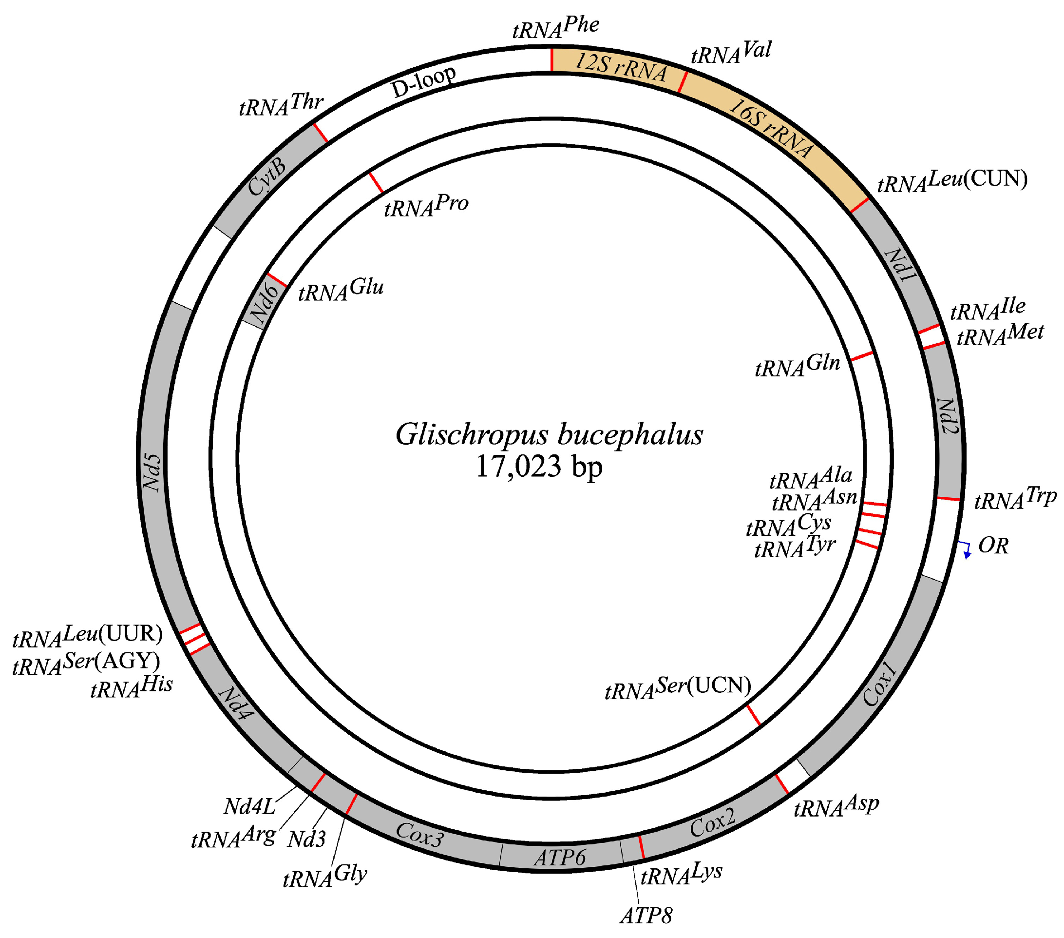 Diversity 15 01085 g001 Diversity 15 01085 g001