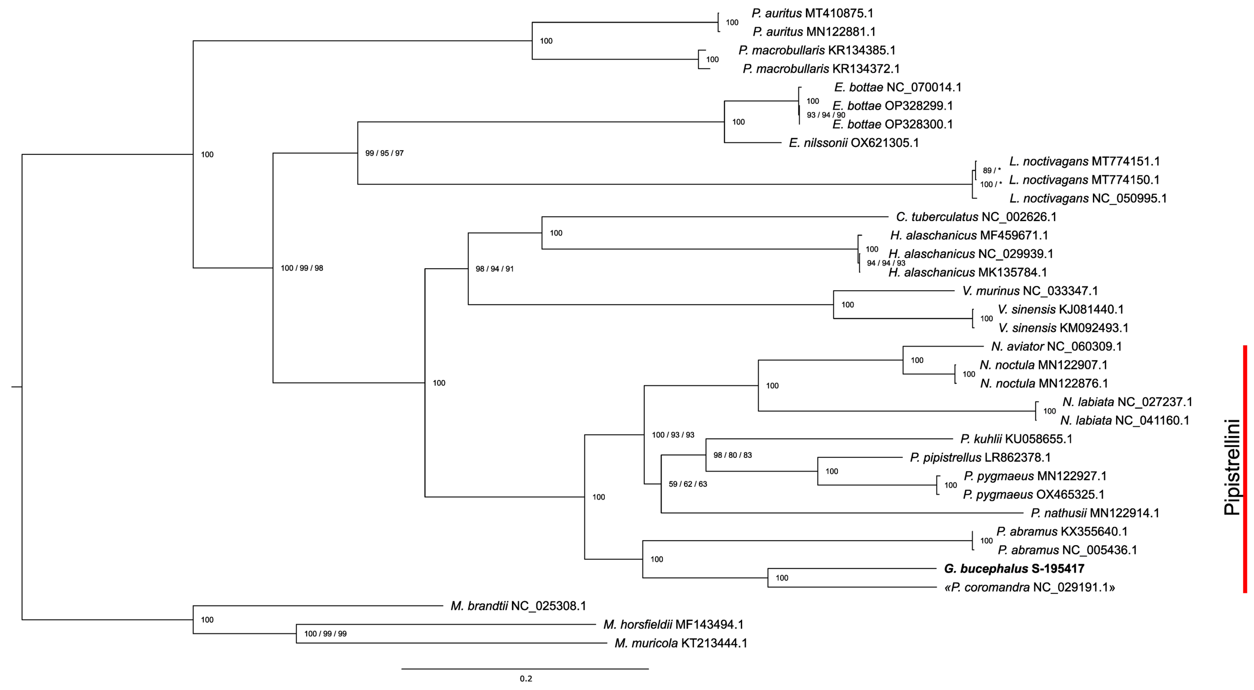 Diversity 15 01085 g002 Diversity 15 01085 g002