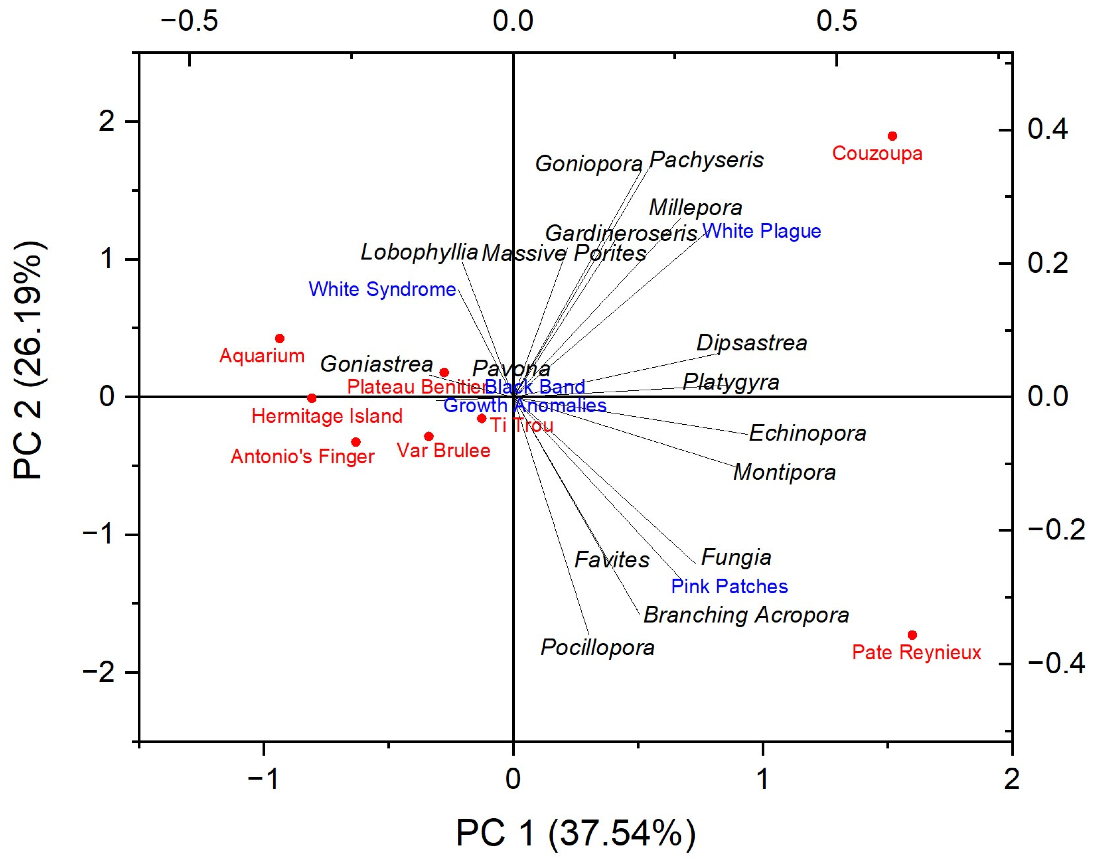 洋書 Coral Health and Disease Coral Health and Disease | SpringerLink