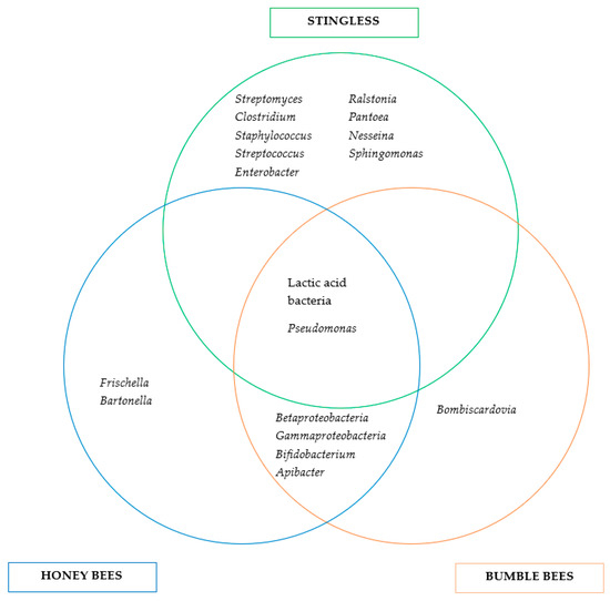 Microbial Diversity in Bee Species and Bee Products
