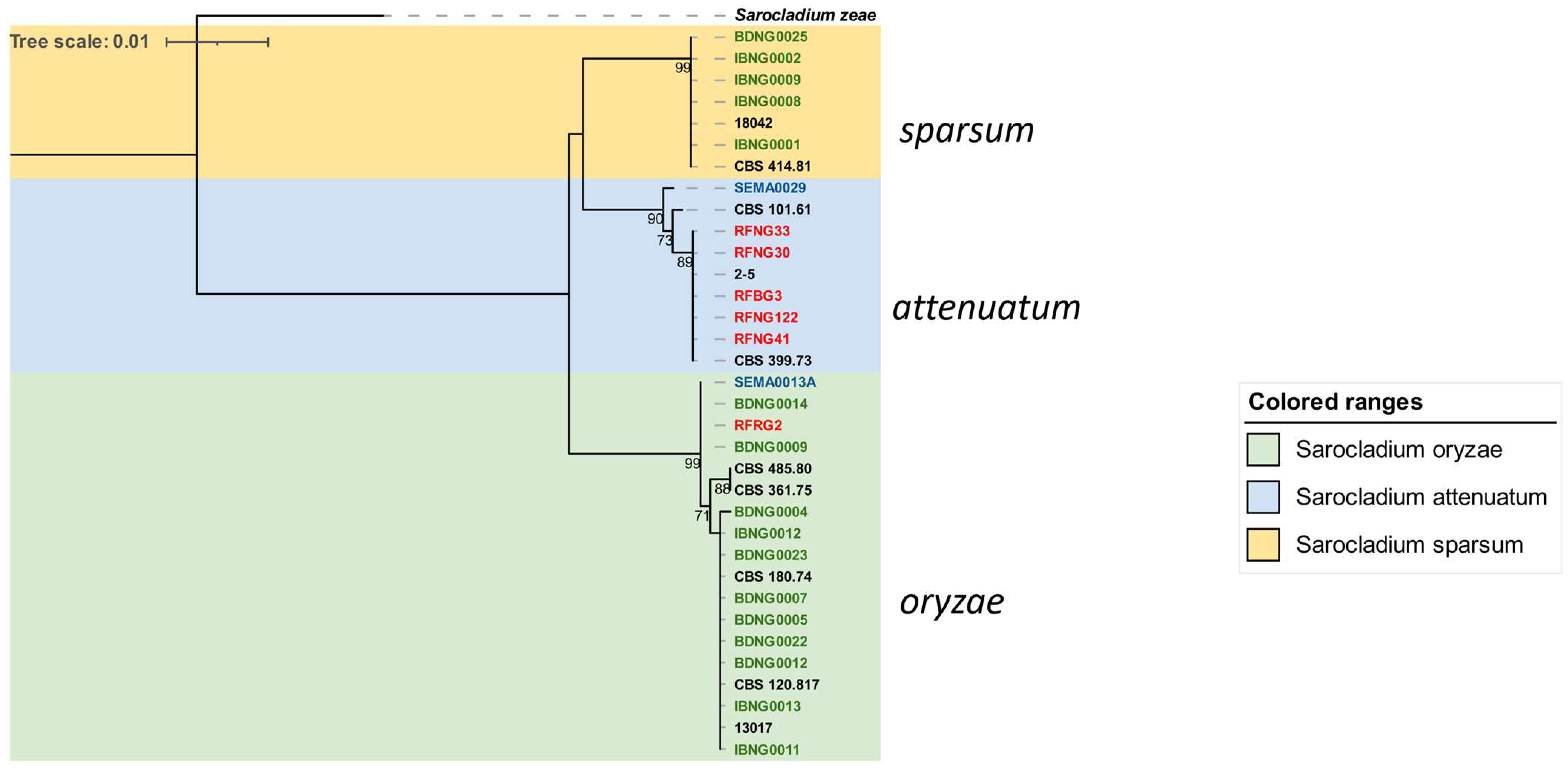 Diversity 15 01090 g004