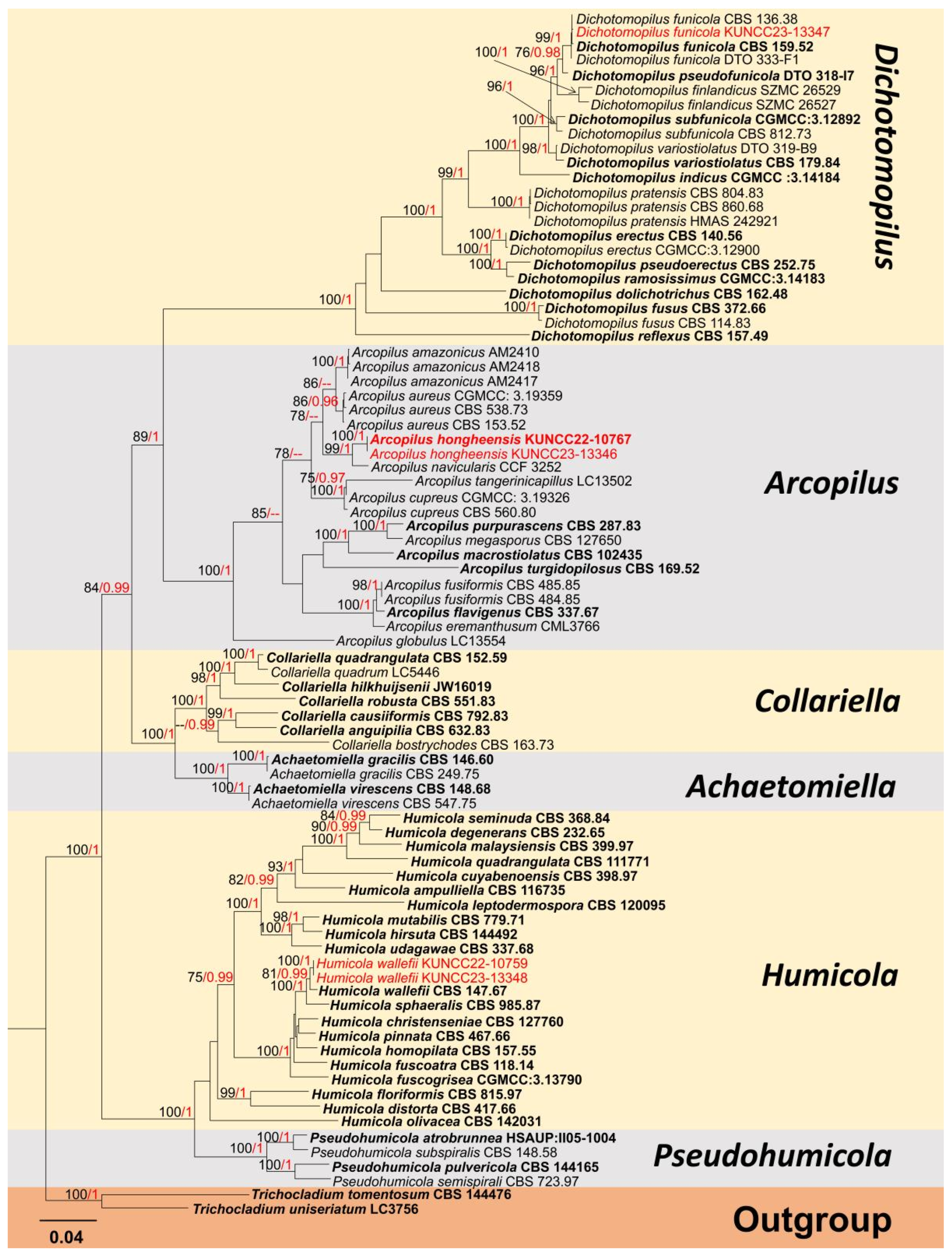 Diversity 15 01094 g001