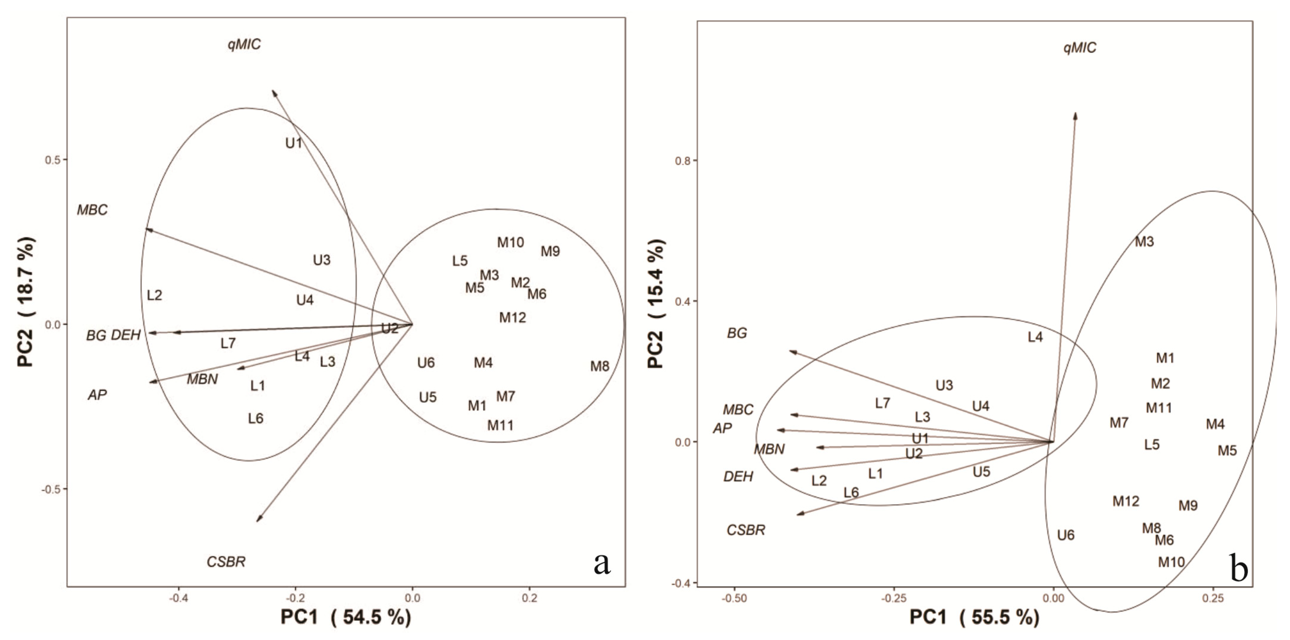 Diversity 15 01097 g005