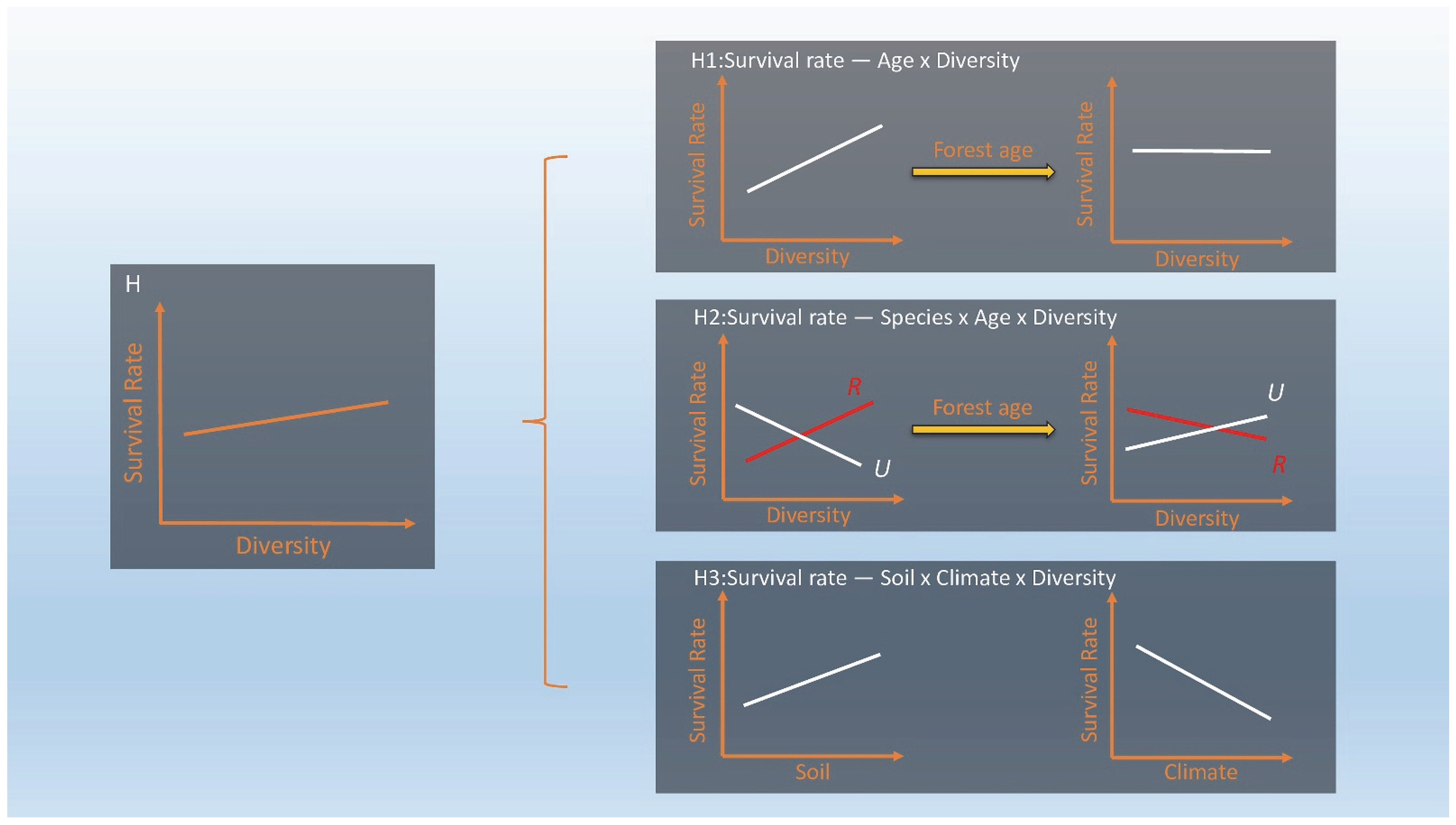Diversity 15 01100 g001