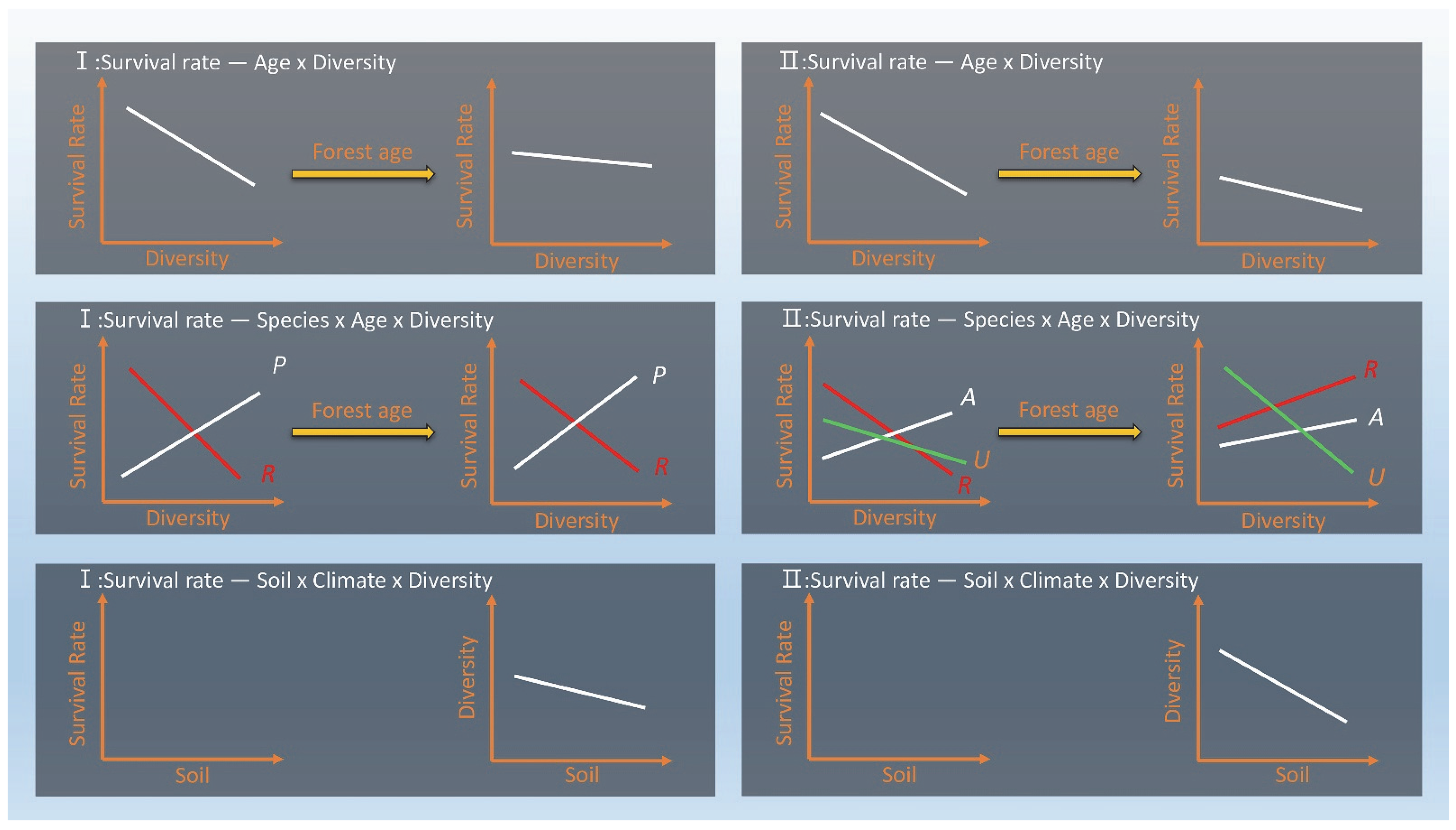 Diversity 15 01100 g005