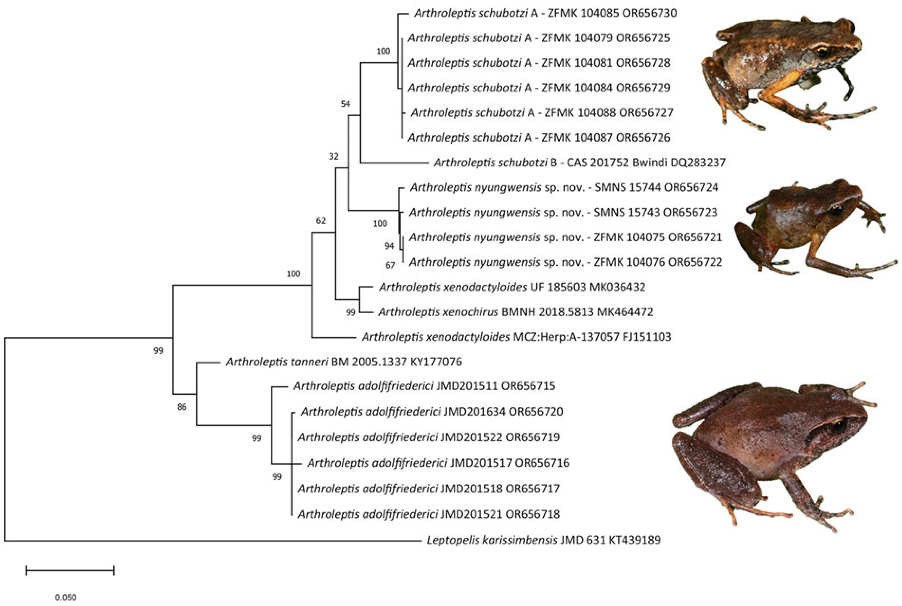 Diversity 15 01104 g004 Diversity 15 01104 g004