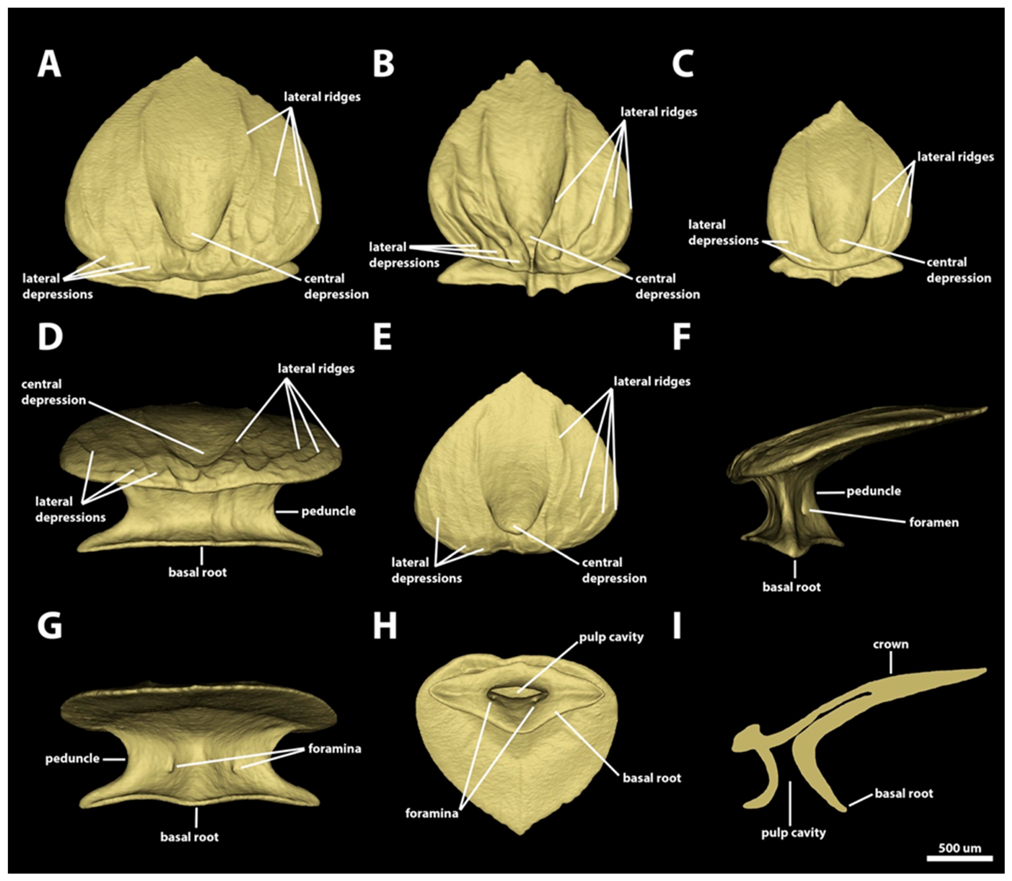 Diversity 15 01105 g014