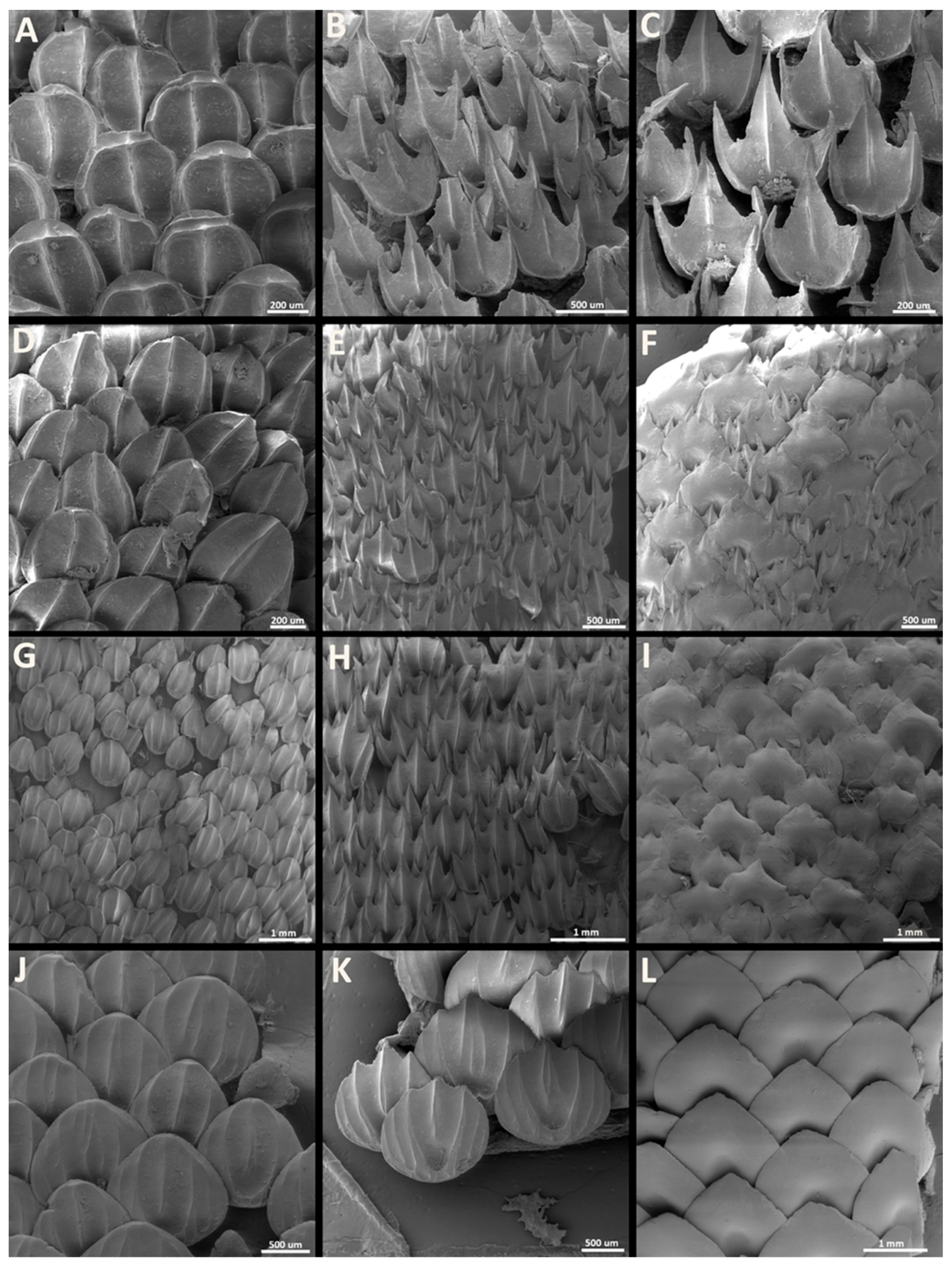 Diversity 15 01105 g022