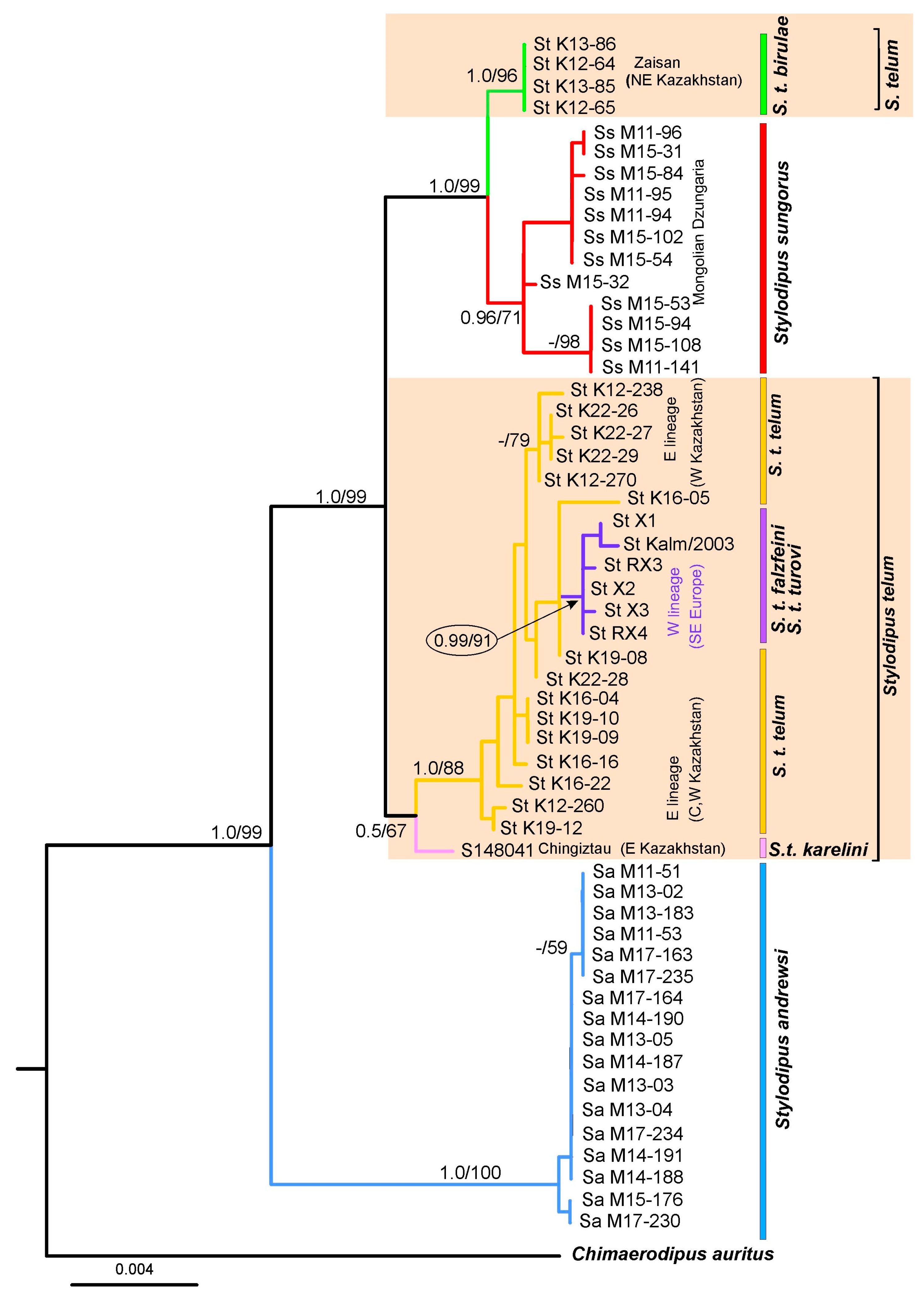 Diversity 15 01114 g004