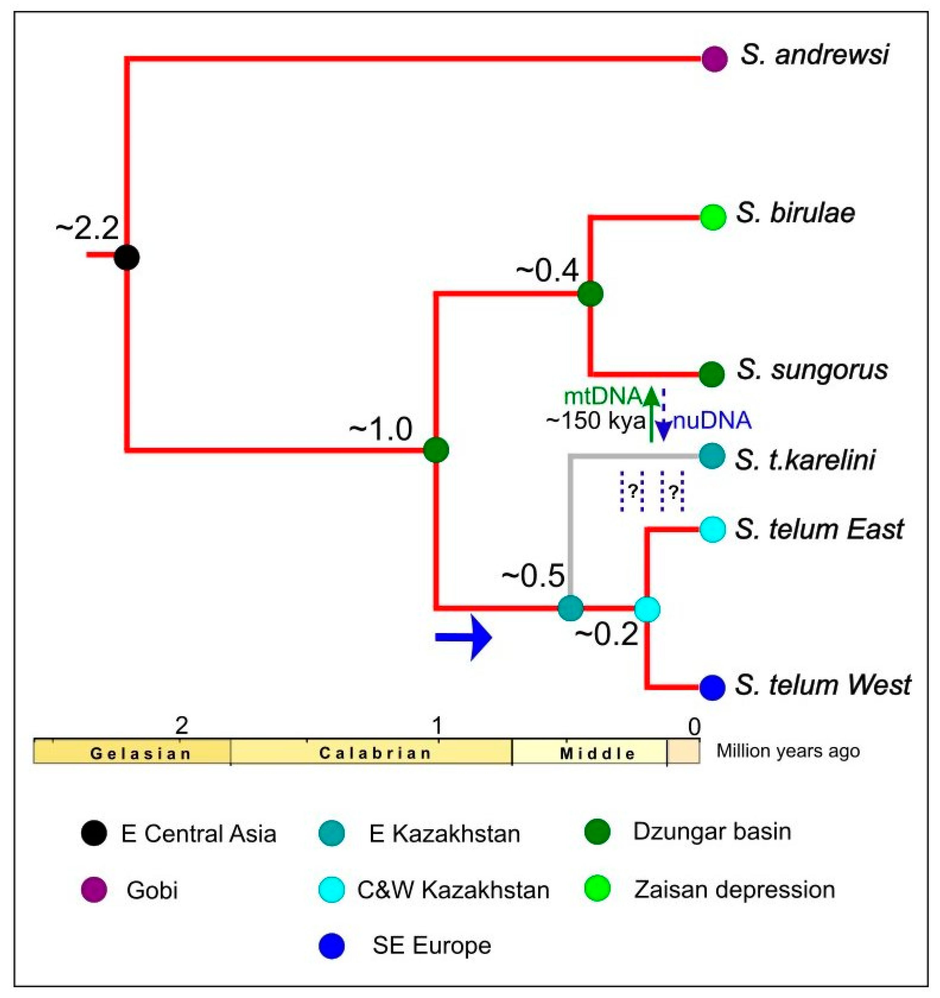 Diversity 15 01114 g005
