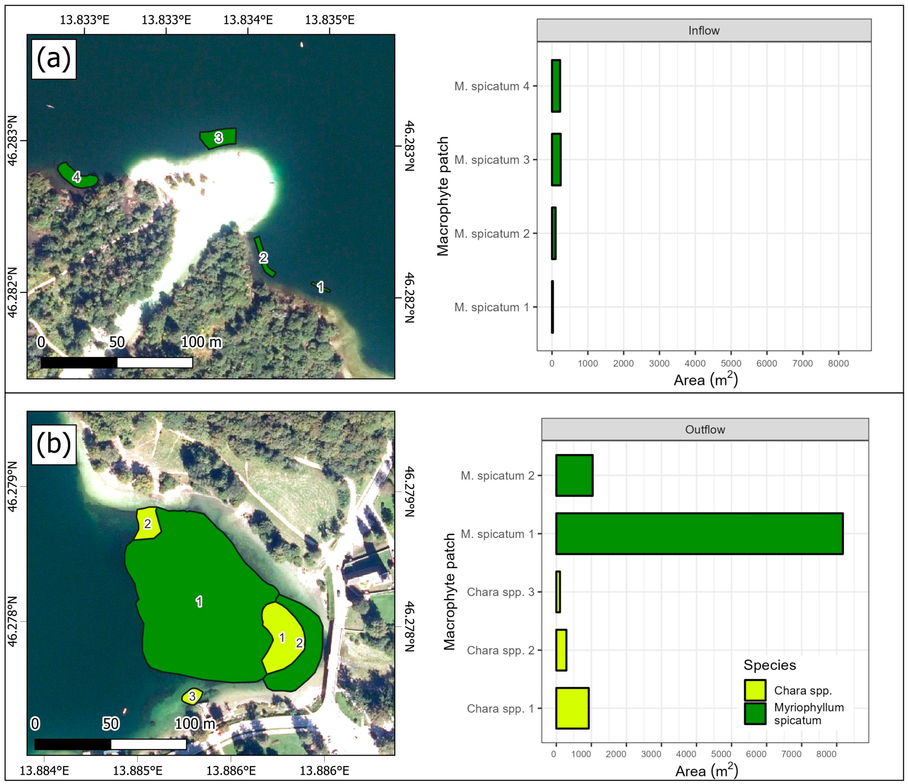 Diversity 15 01115 g004 Diversity 15 01115 g004