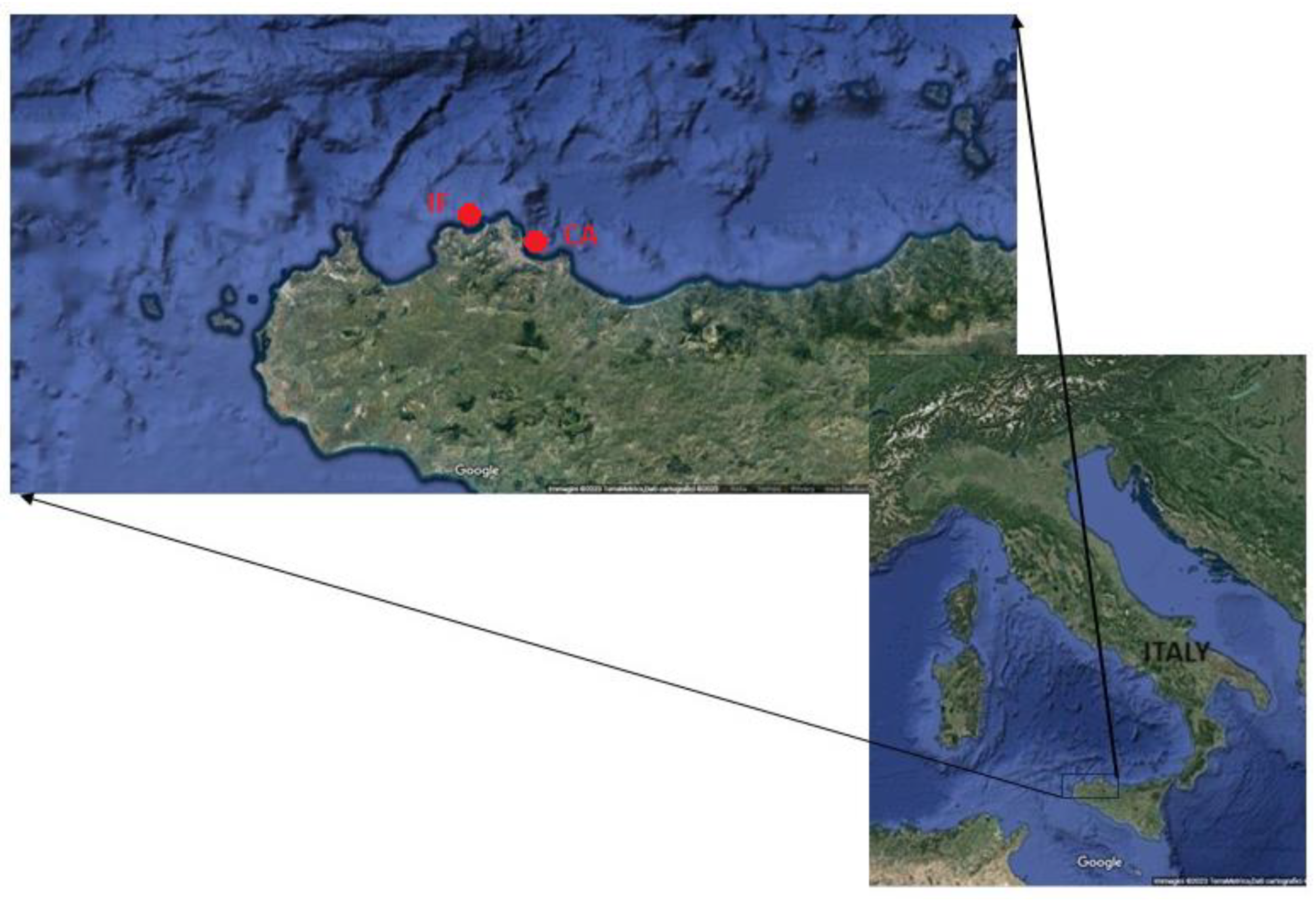 Diversity 15 01117 g001