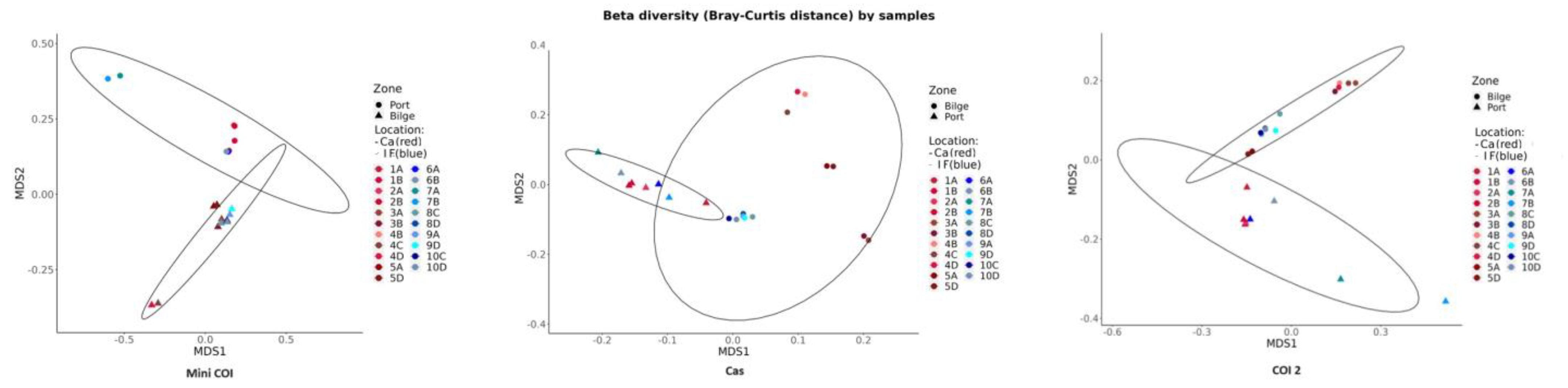 Diversity 15 01117 g004