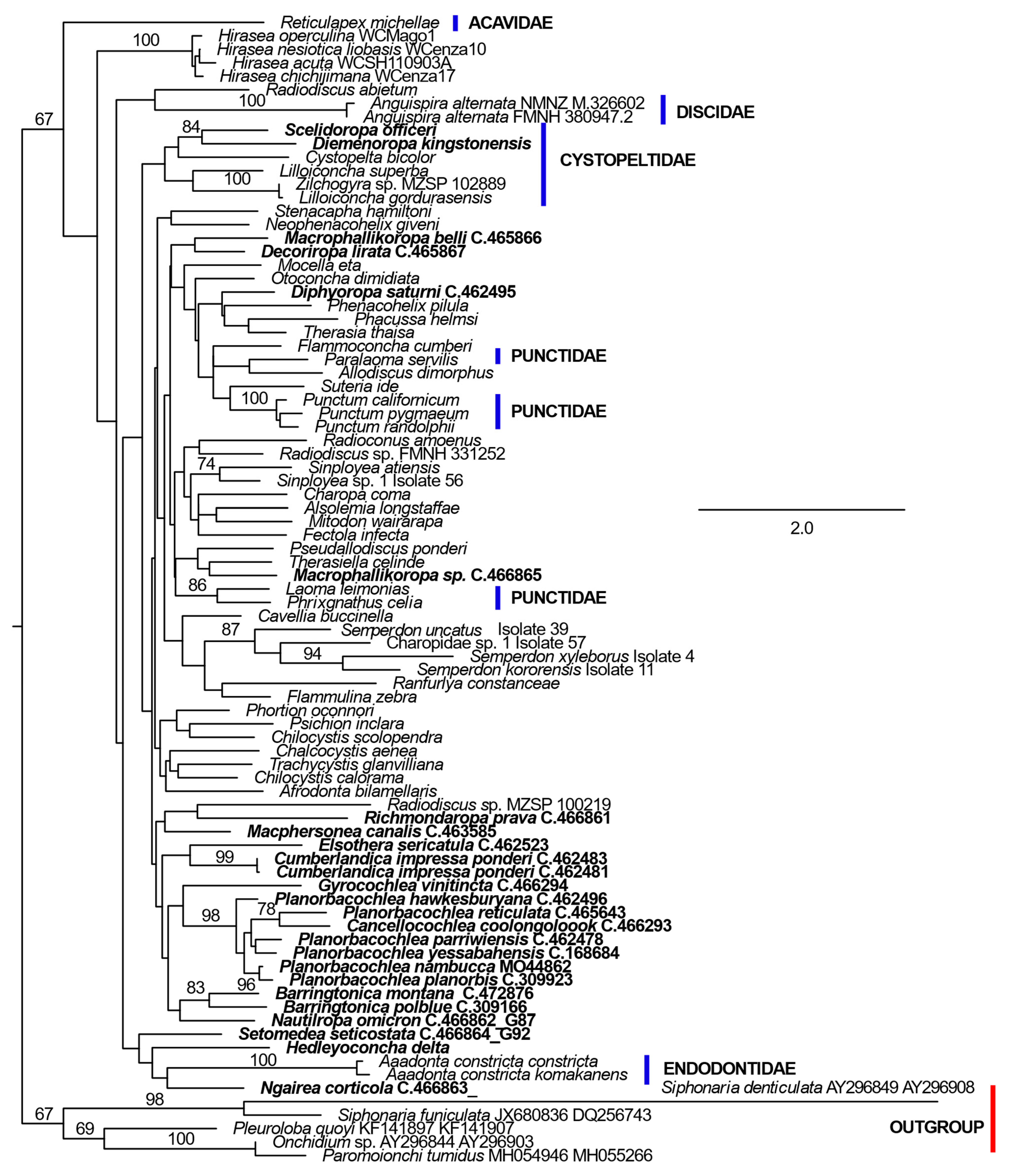 Diversity 15 01124 g003