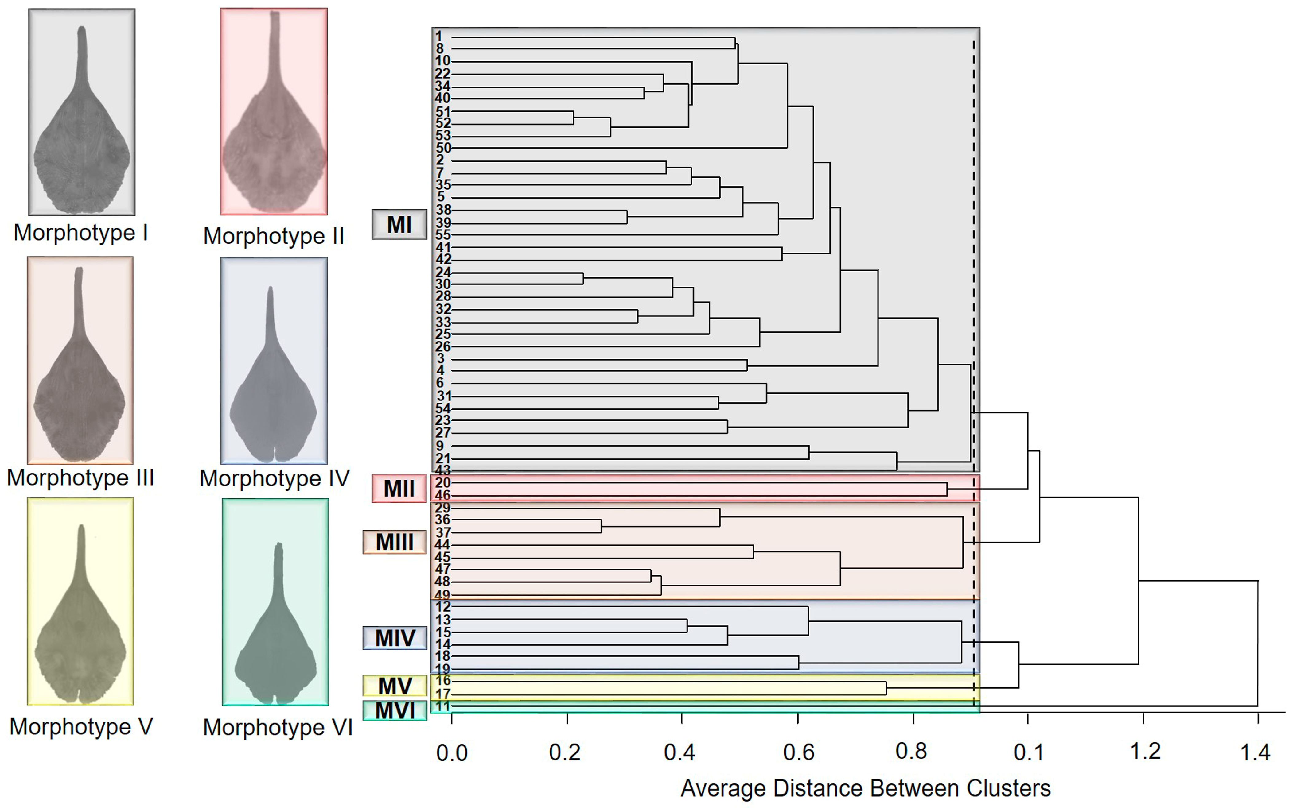 Diversity 15 01125 g005 Diversity 15 01125 g005