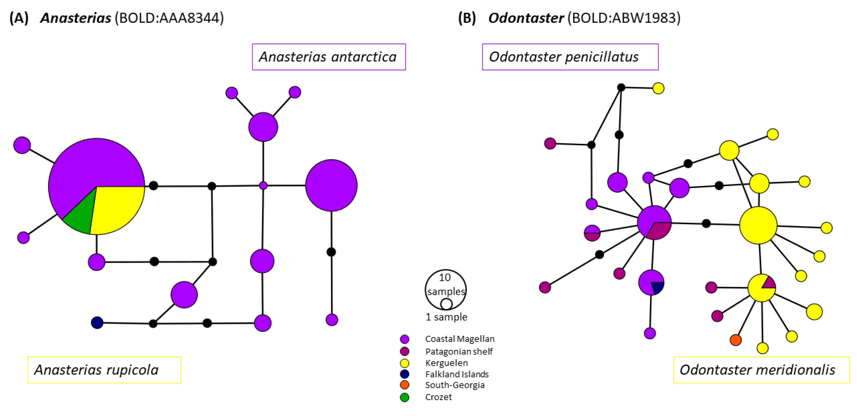 Diversity 15 01129 g005 Diversity 15 01129 g005