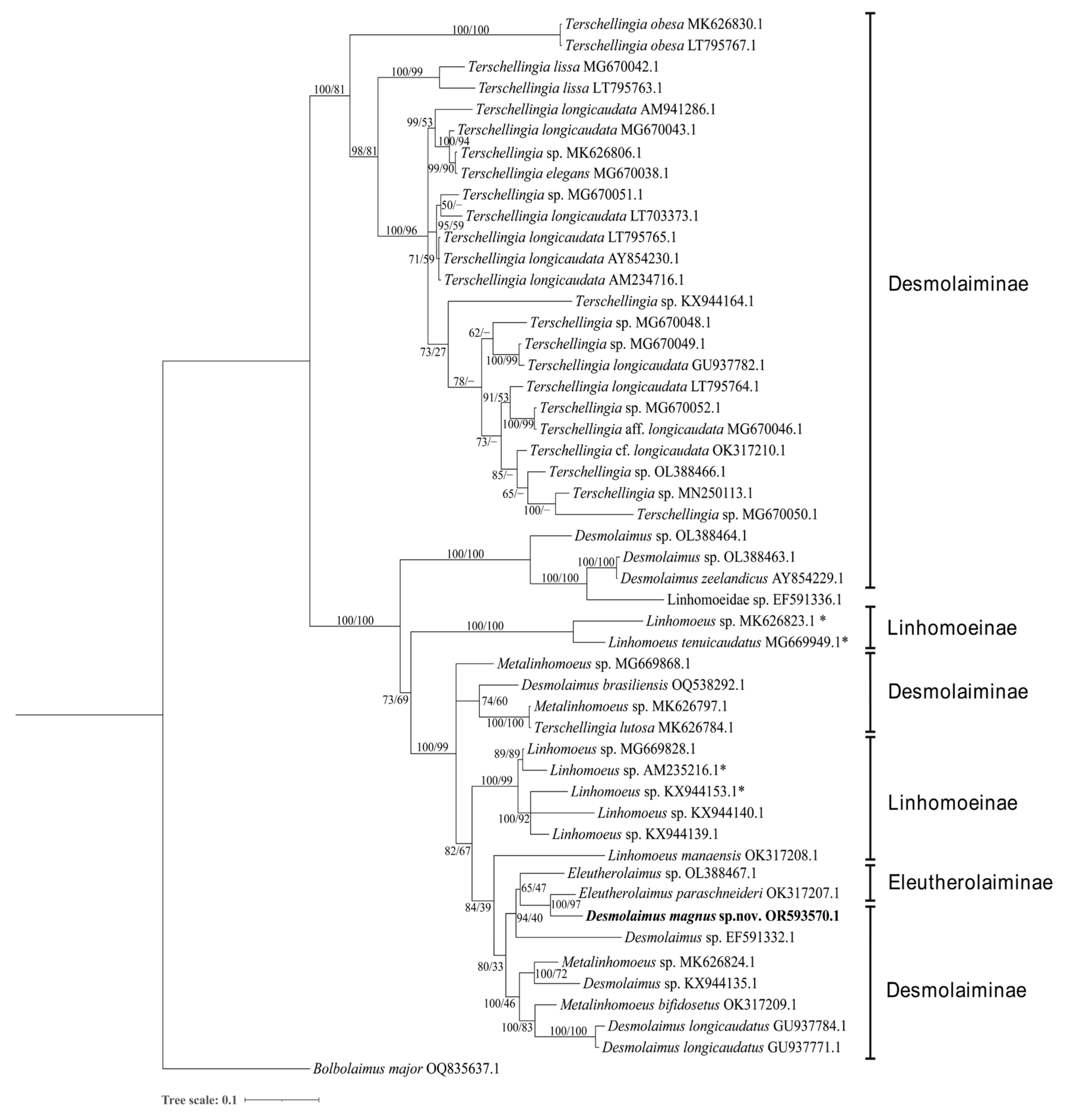 Diversity 15 01130 g003