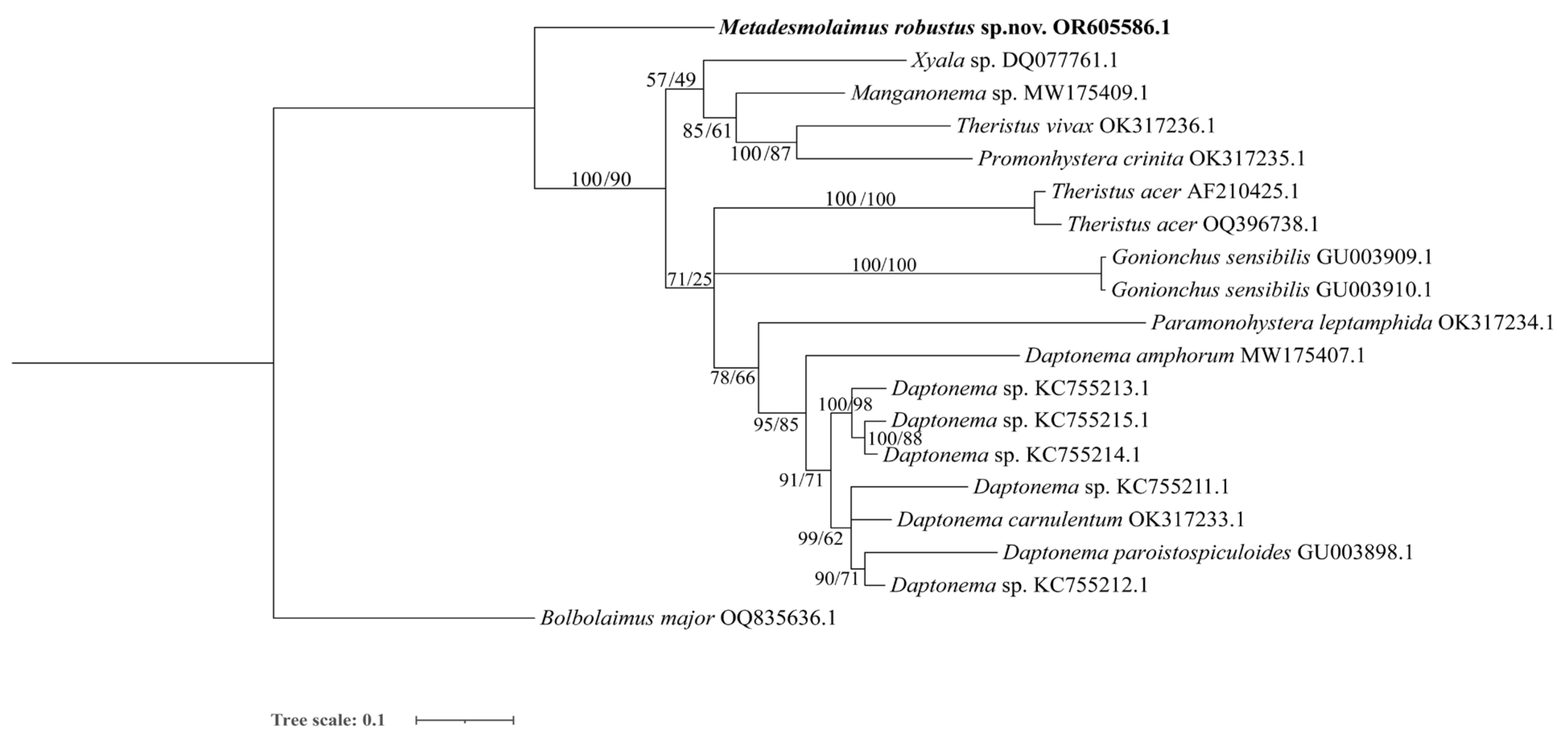 Diversity 15 01130 g008