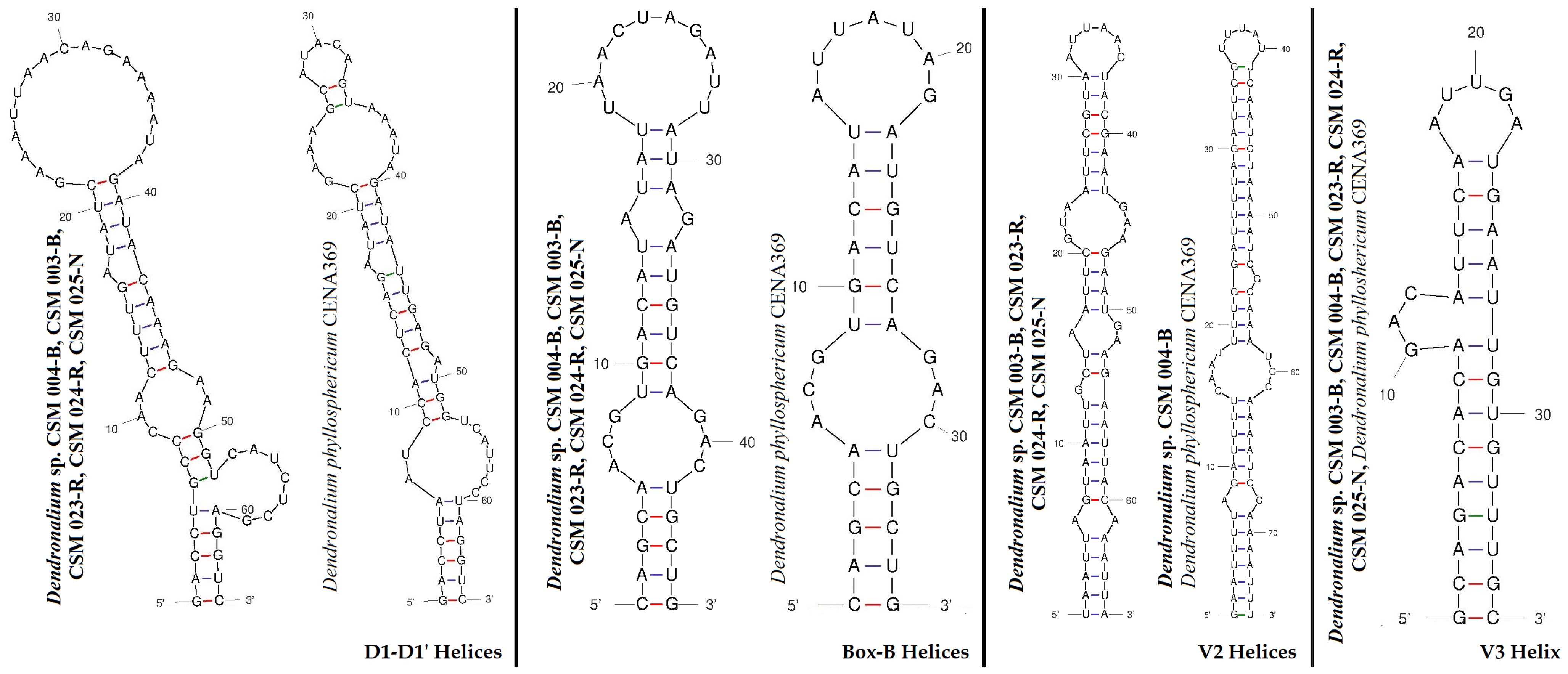 Diversity 15 01132 g010