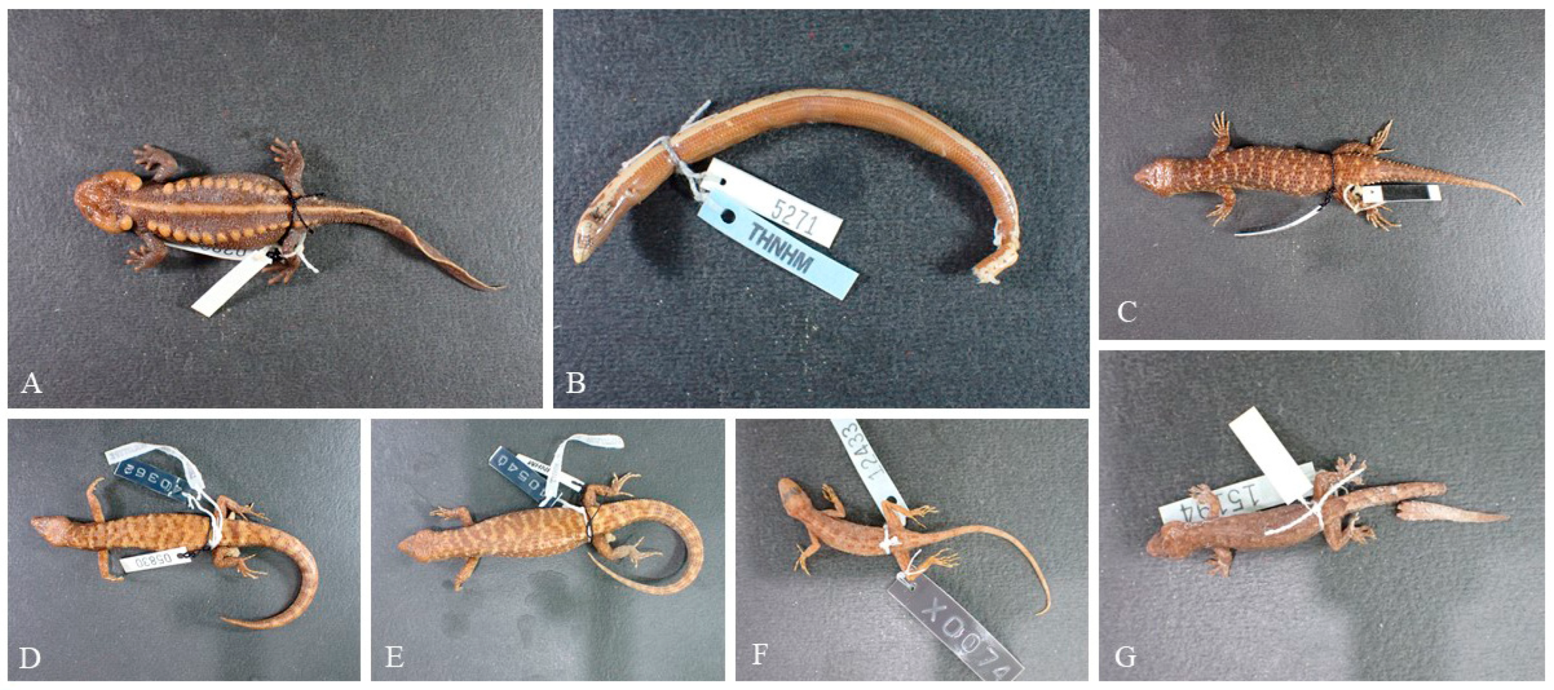 Diversity 15 01133 g002