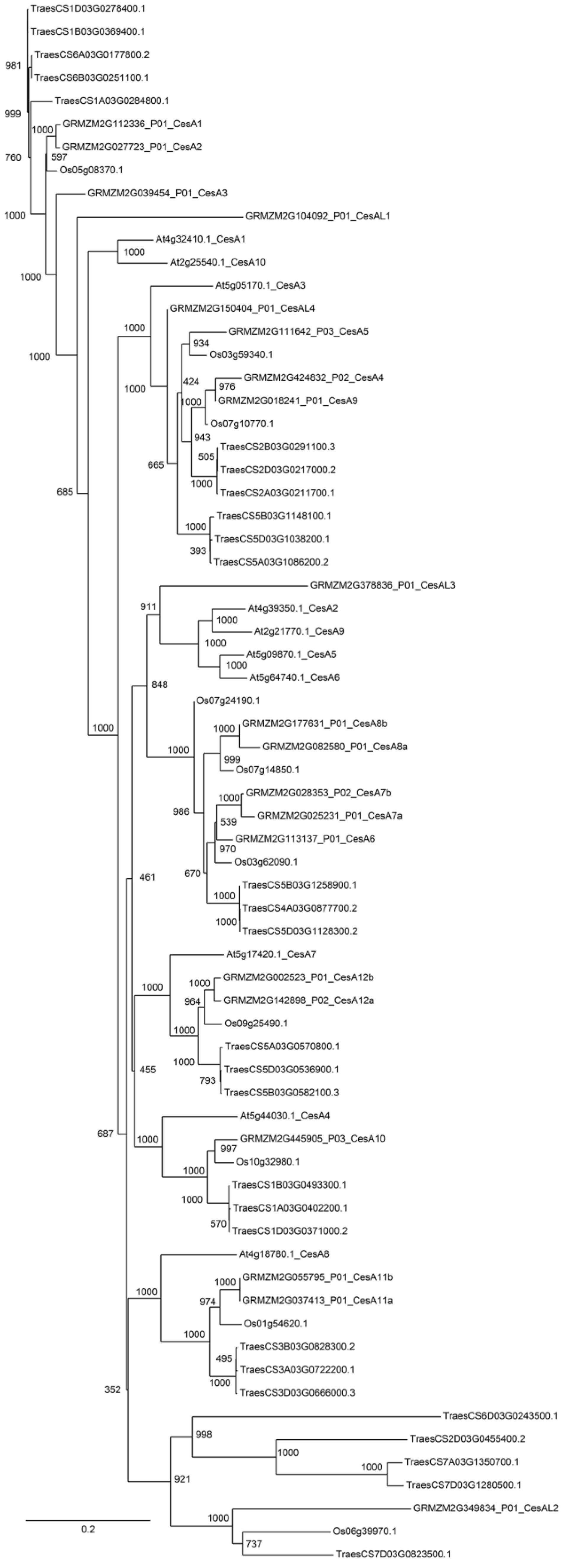 Diversity 15 01135 g002