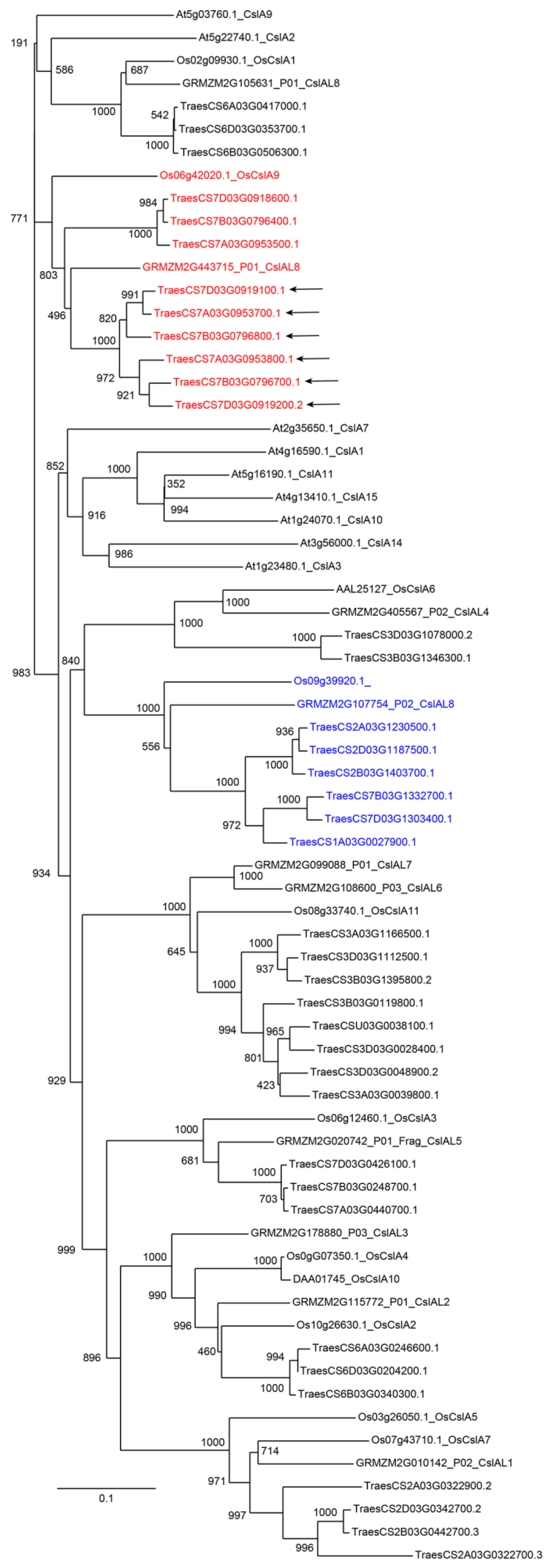 Diversity 15 01135 g003