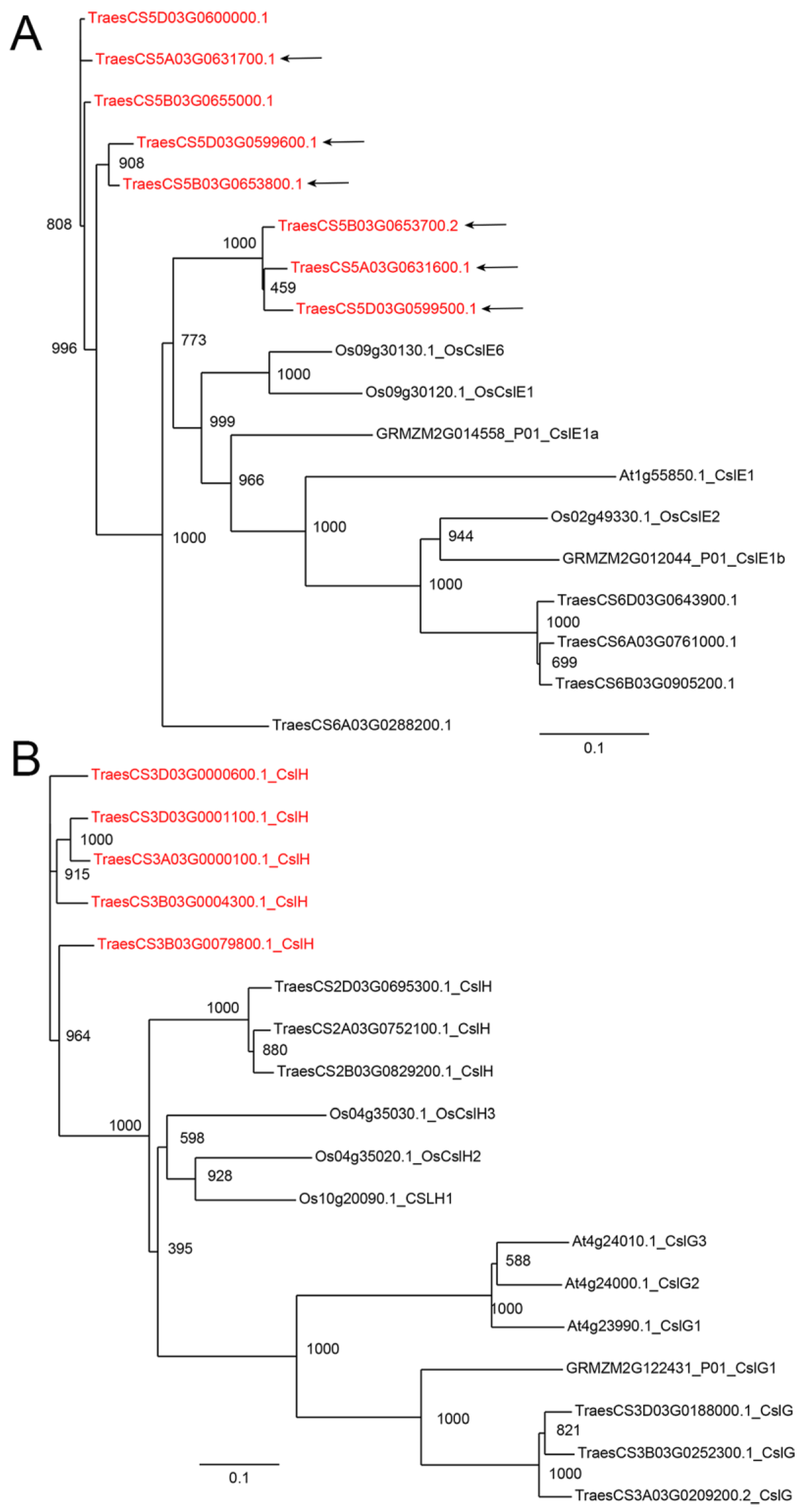 Diversity 15 01135 g004