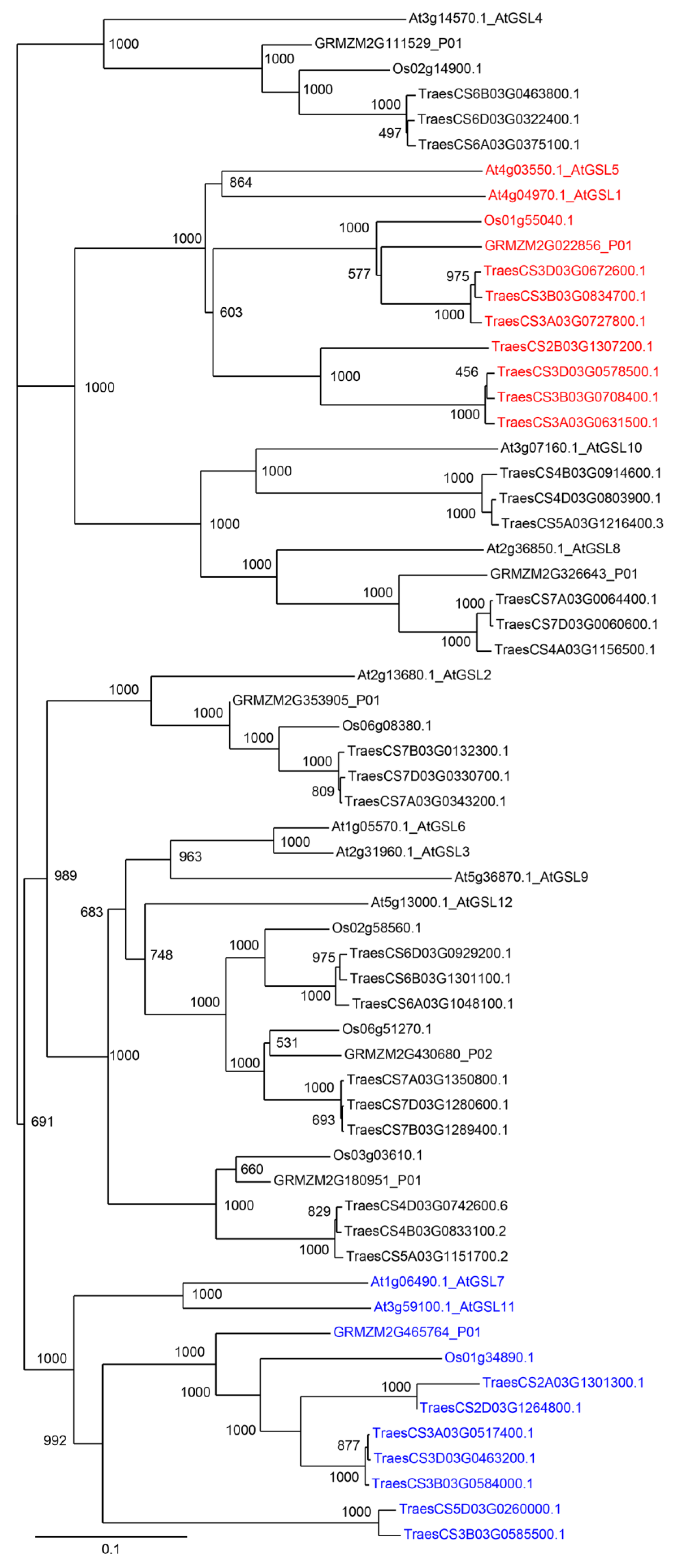 Diversity 15 01135 g005
