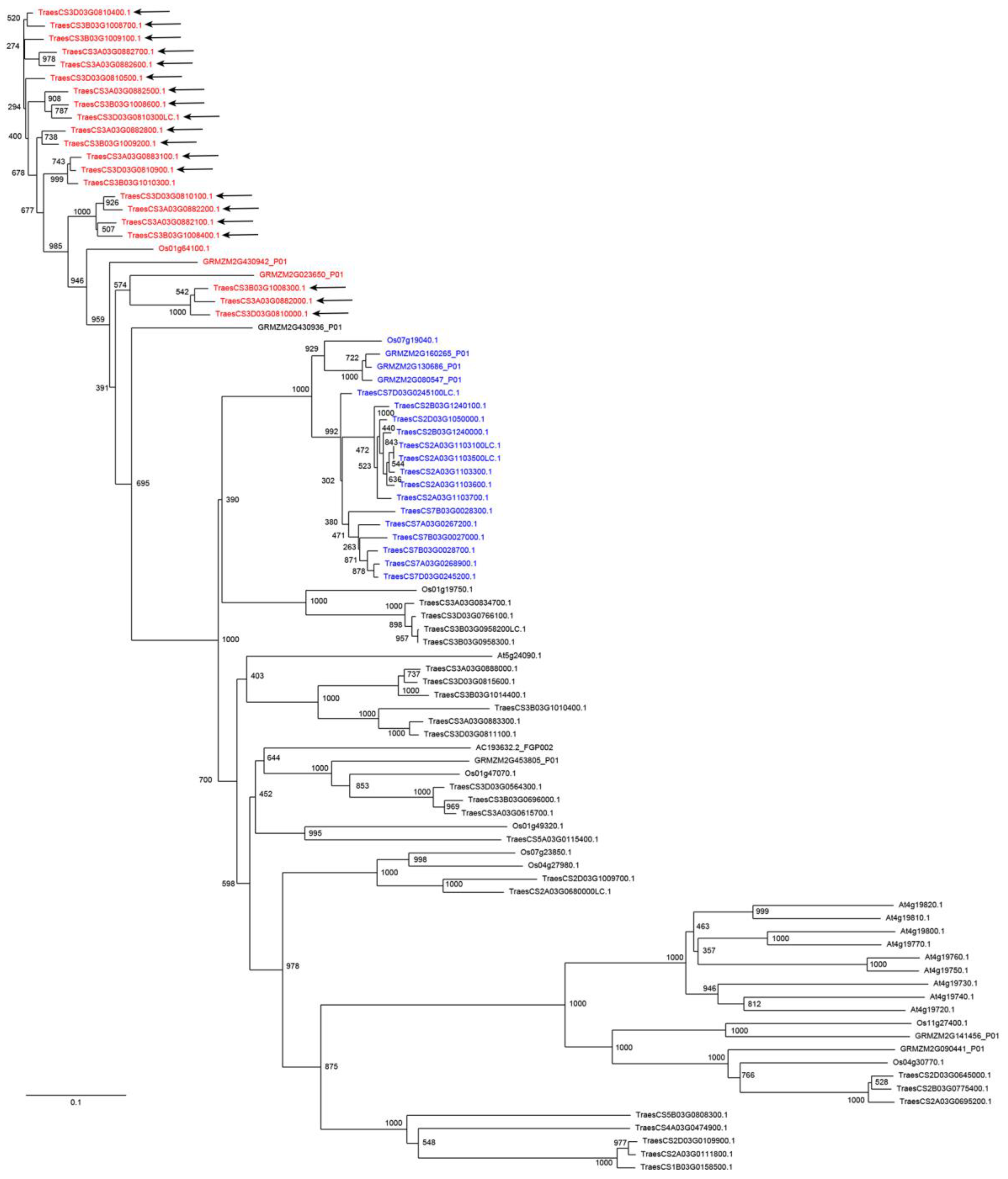 Diversity 15 01135 g006