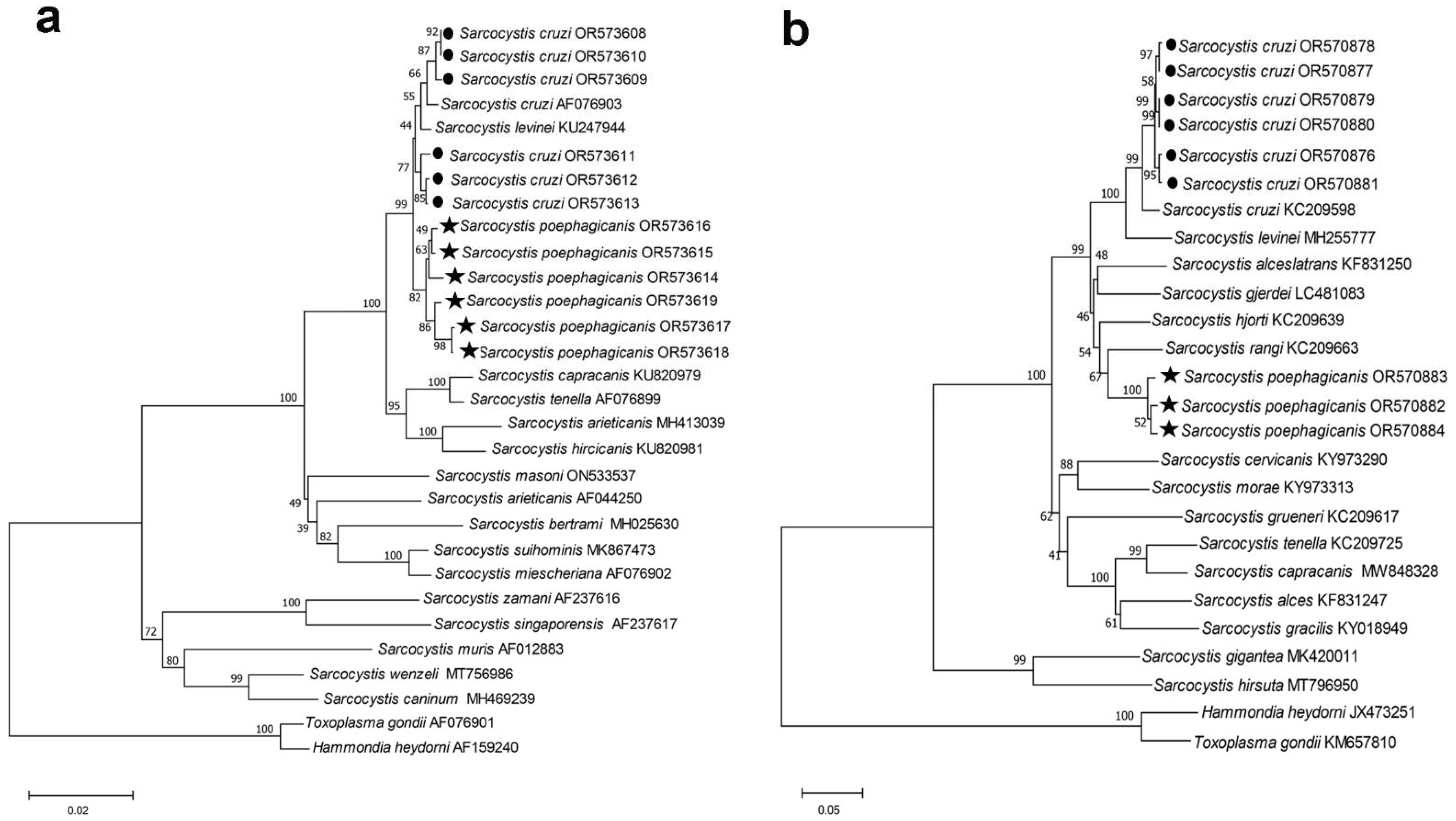 Diversity 15 01136 g002