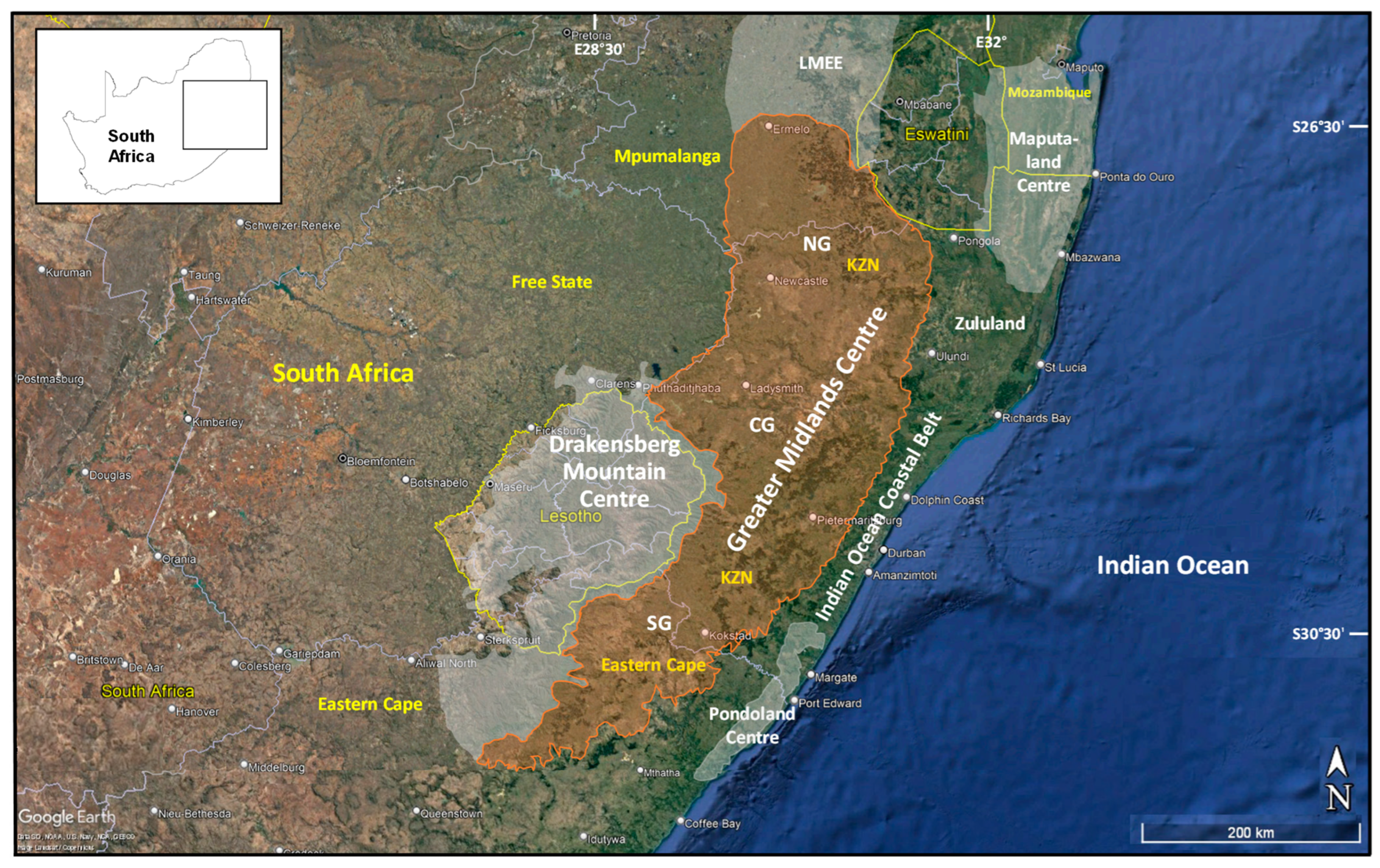 Diversity 15 01137 g001