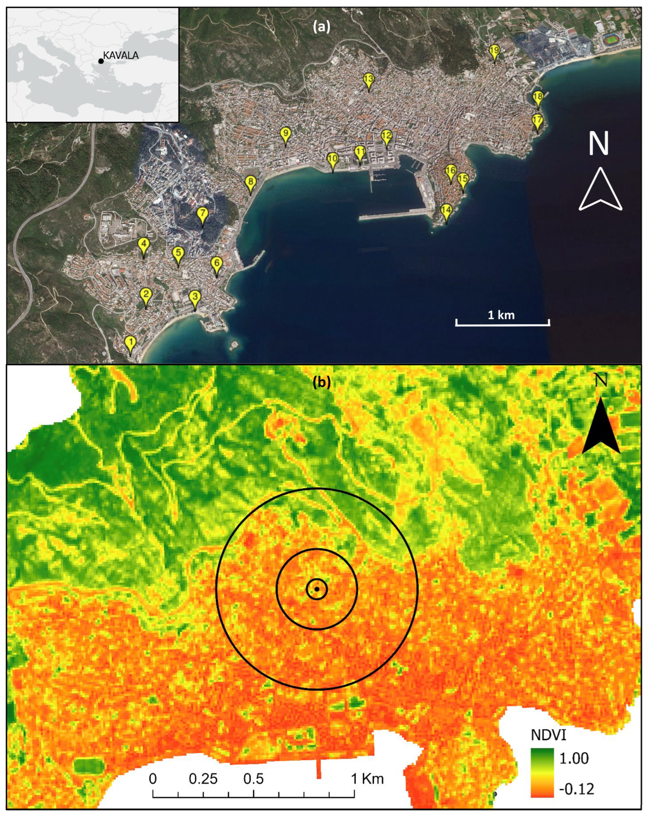 Diversity 15 01139 g001