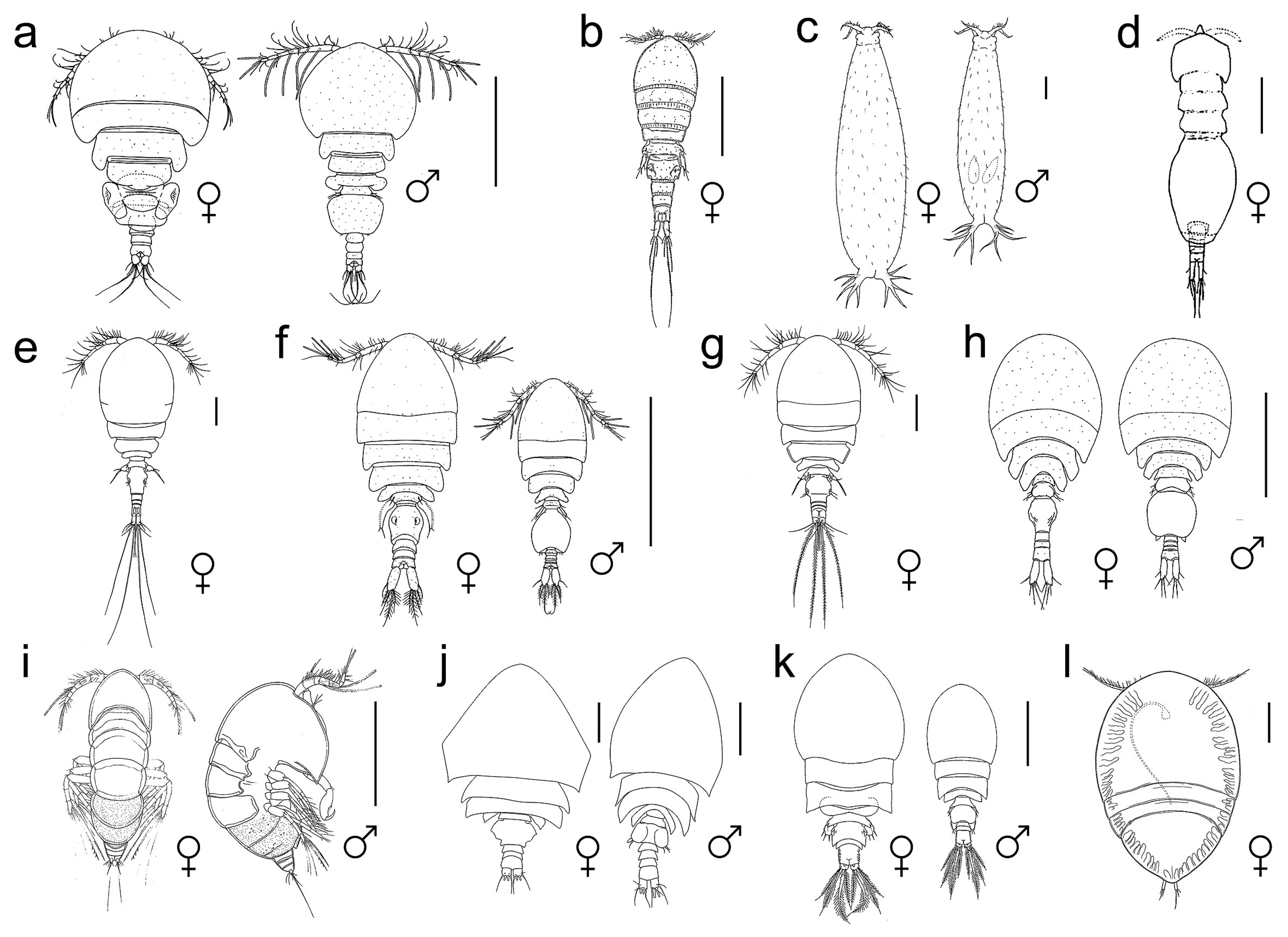 Diversity 15 01140 g002 Diversity 15 01140 g002