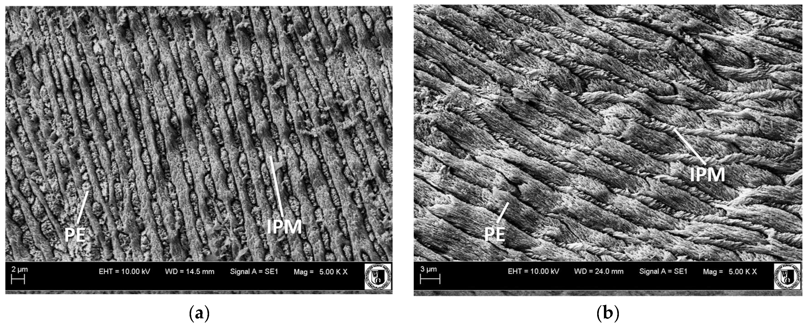 Diversity 15 01141 g002