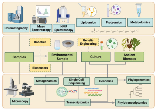 じゅん Emerging Technologies for the Discovery of Novel Diversity