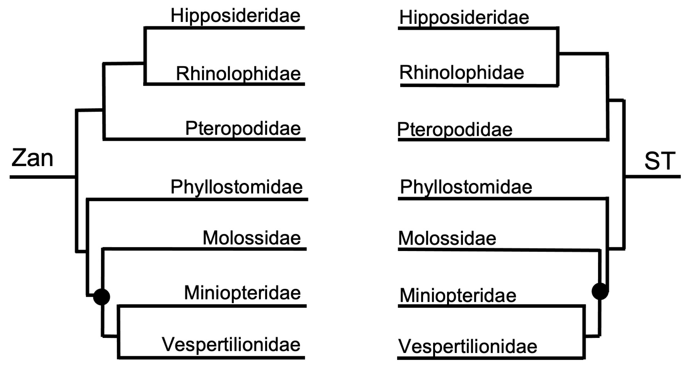 Diversity 15 01145 g005 Diversity 15 01145 g005