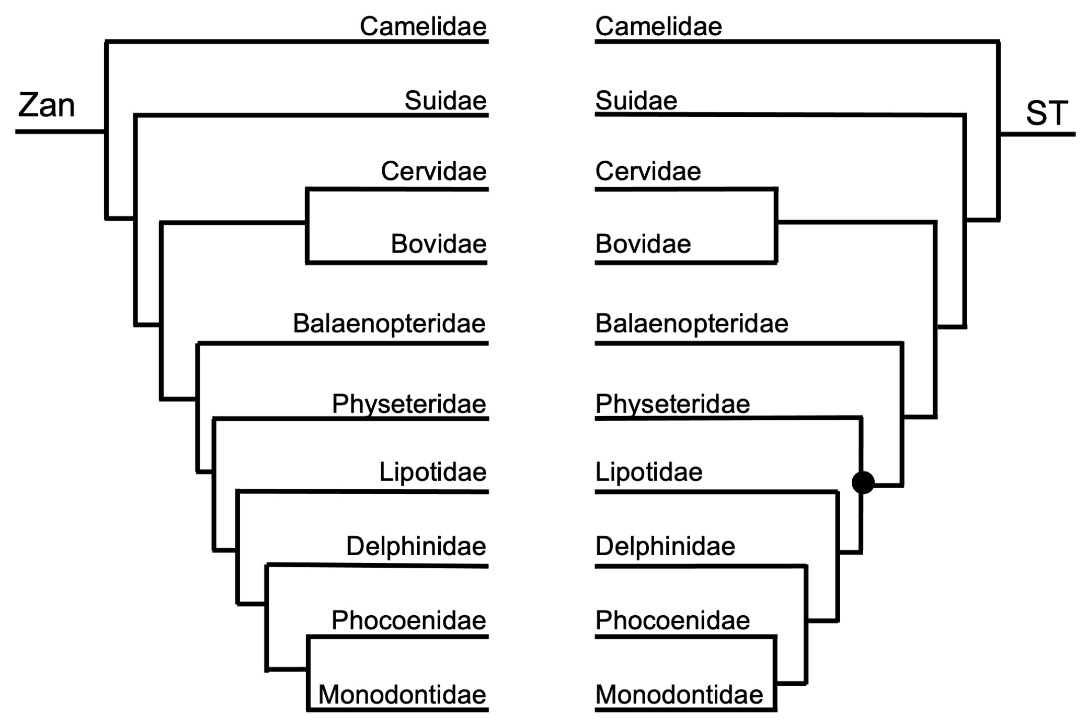 Diversity 15 01145 g007 Diversity 15 01145 g007