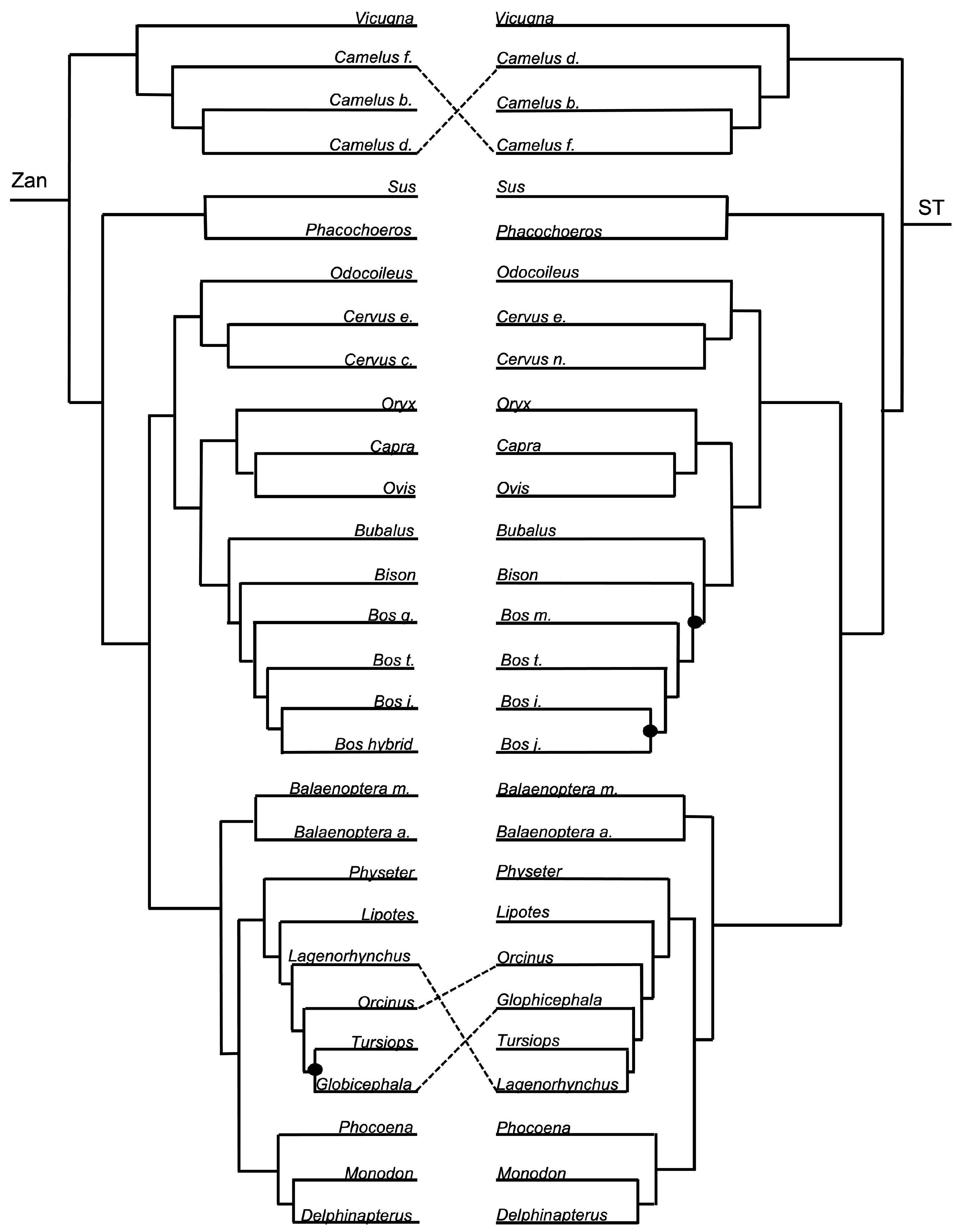 Diversity 15 01145 g008 Diversity 15 01145 g008