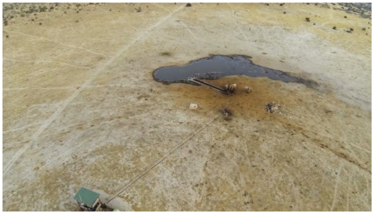 Diversity 15 01146 g001