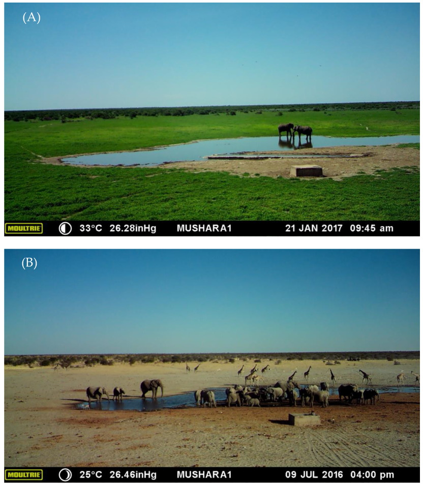 Diversity 15 01146 g002