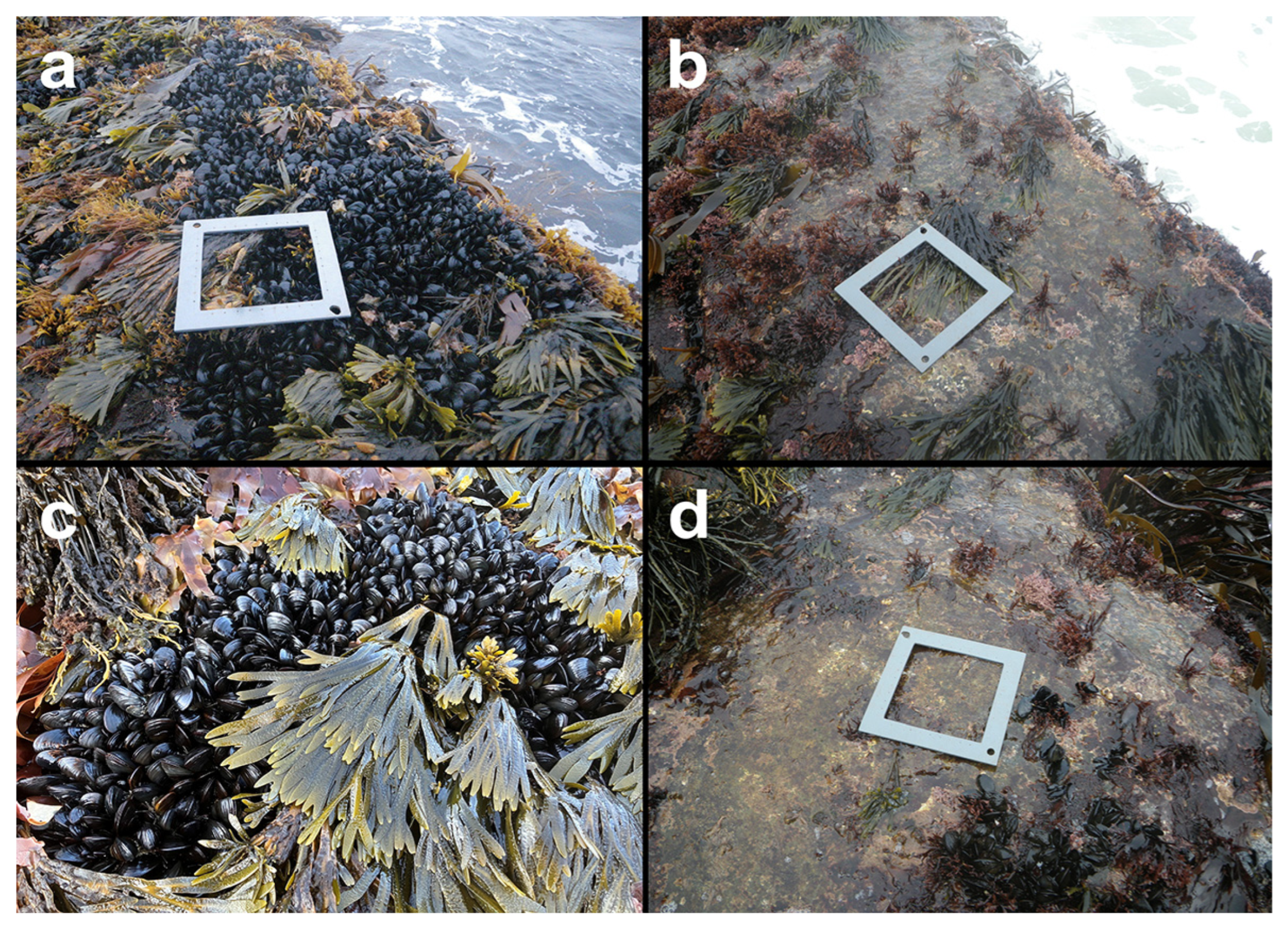 Diversity 15 01150 g001