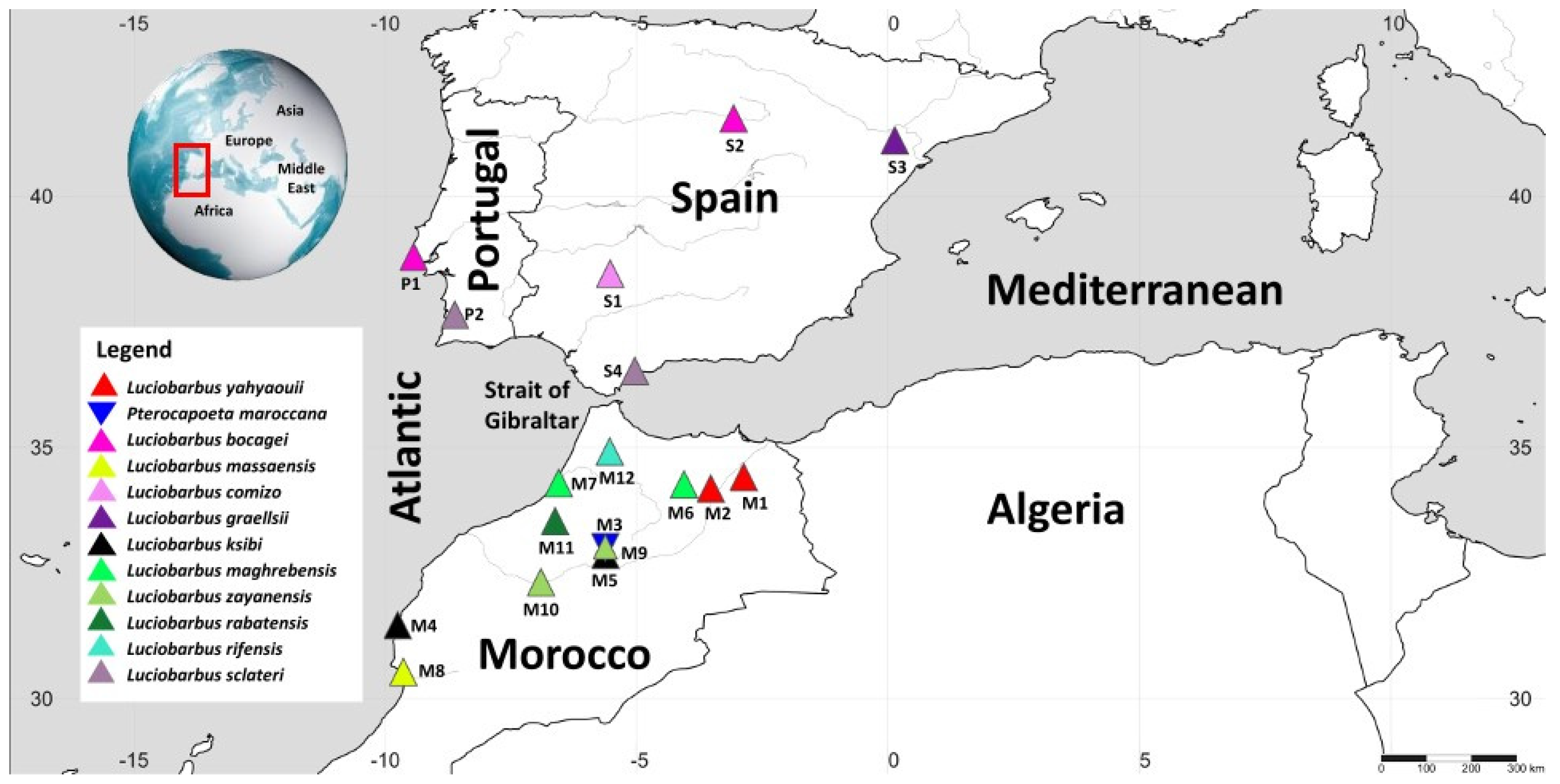 Diversity 15 01152 g001