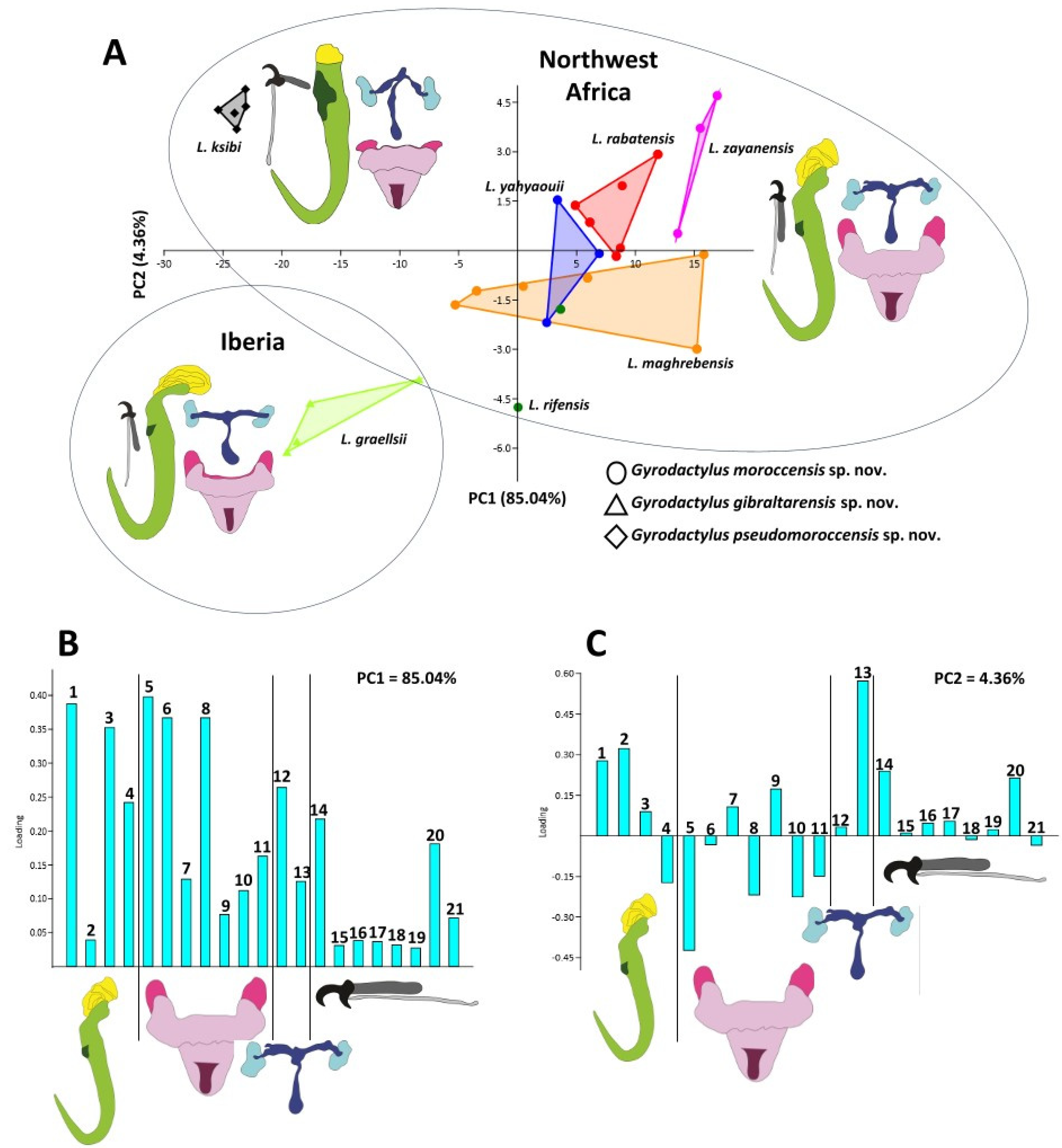 Diversity 15 01152 g006