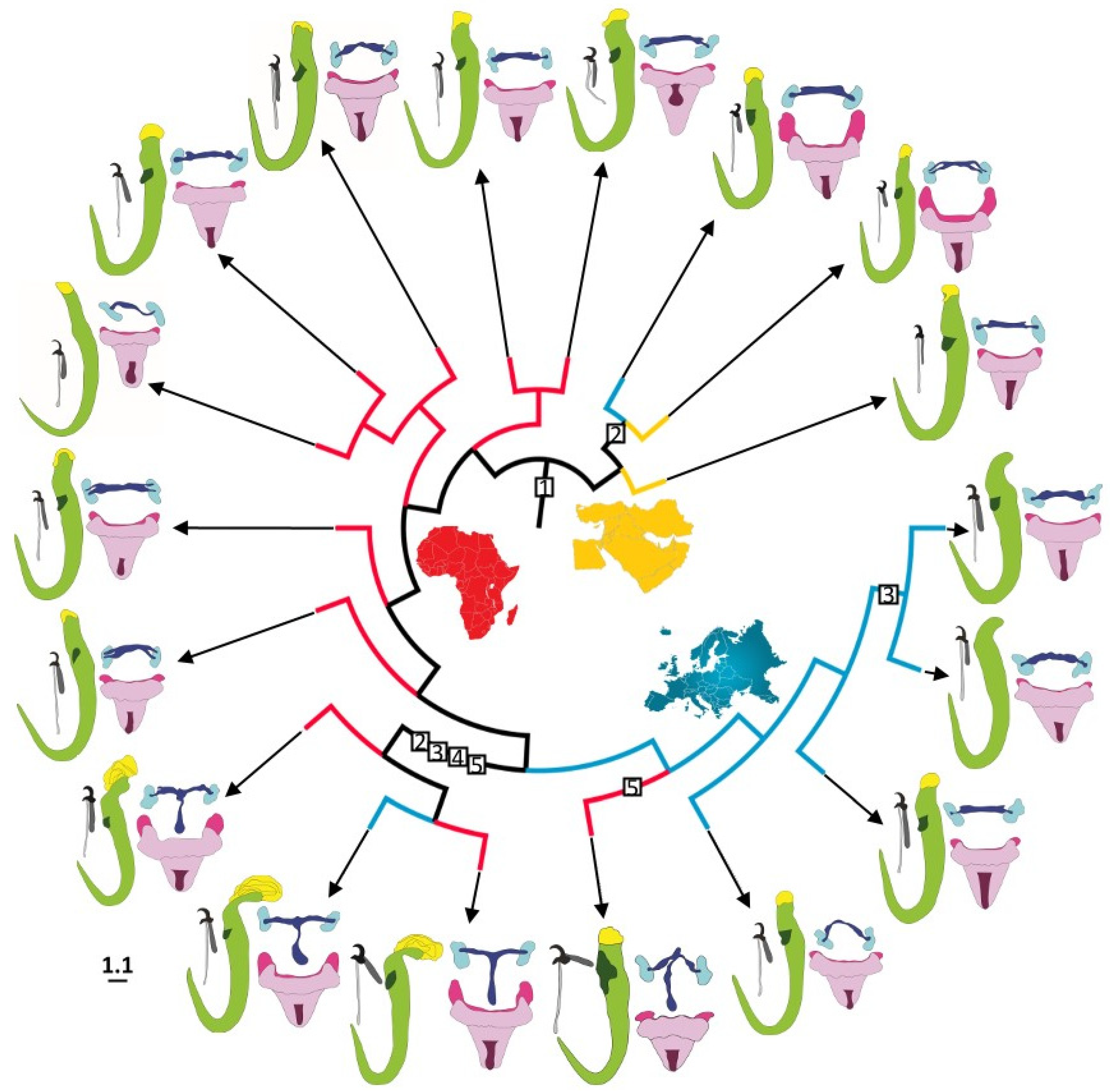 Diversity 15 01152 g008