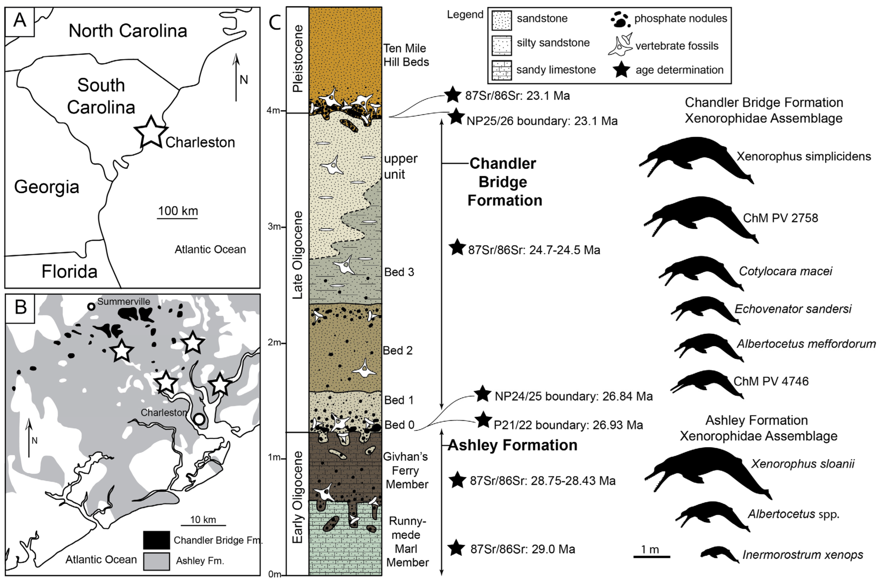 https://www.mdpi.com/diversity/diversity-15-01154/article_deploy/html/images/diversity-15-01154-g001.png