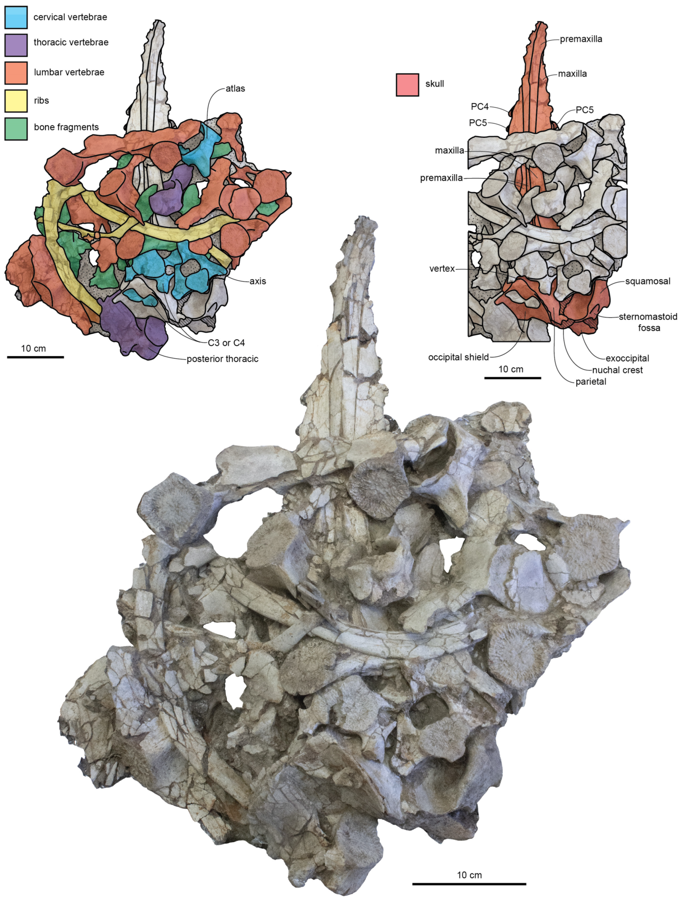 Diversity 15 01154 g002