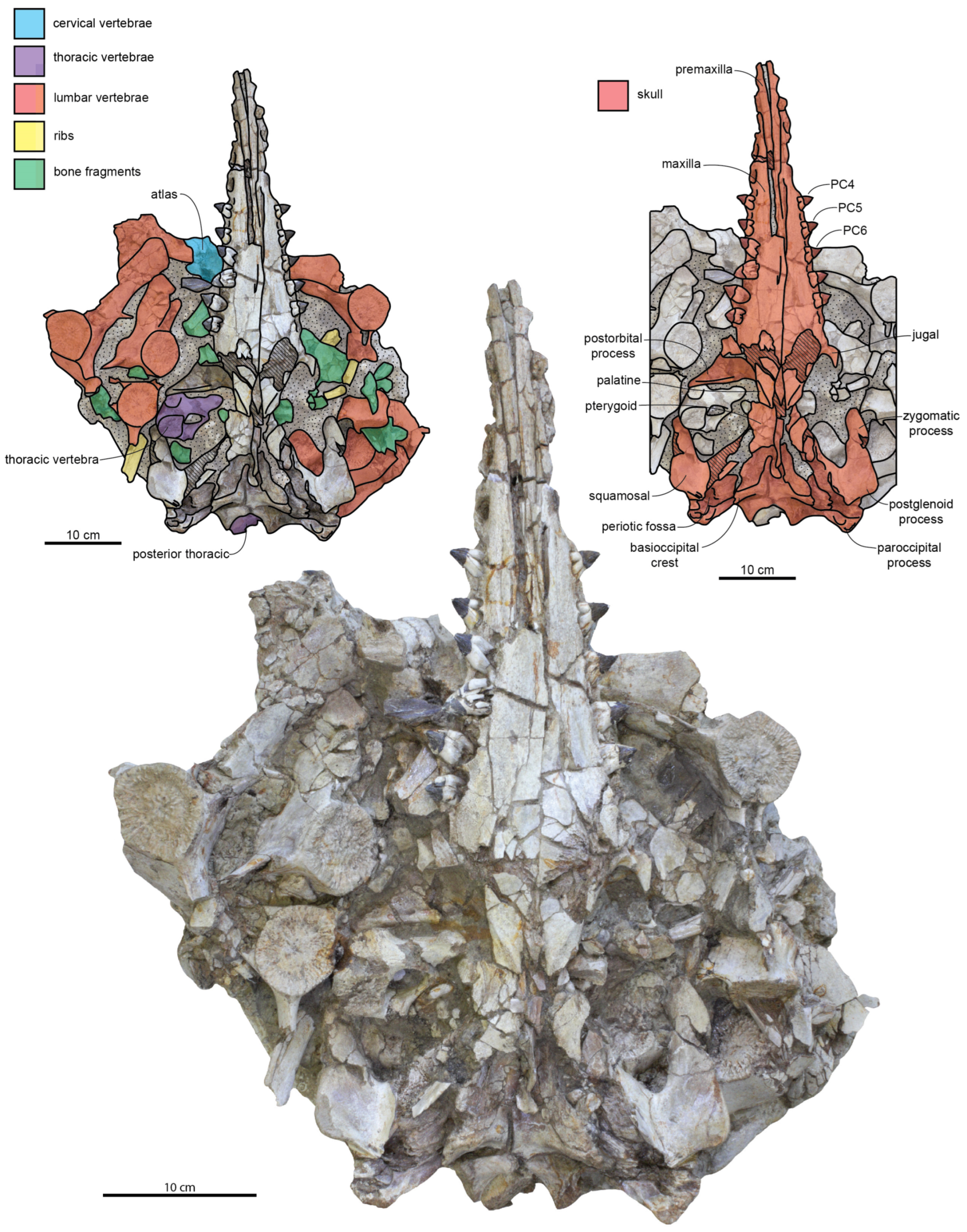 Diversity 15 01154 g003