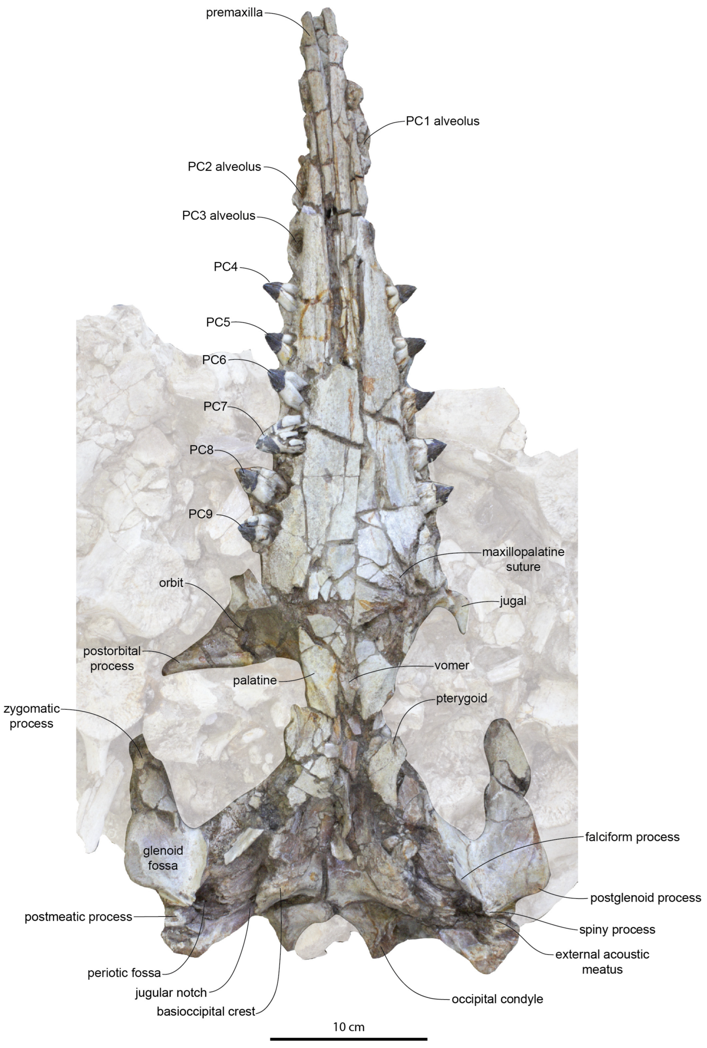 Diversity 15 01154 g004