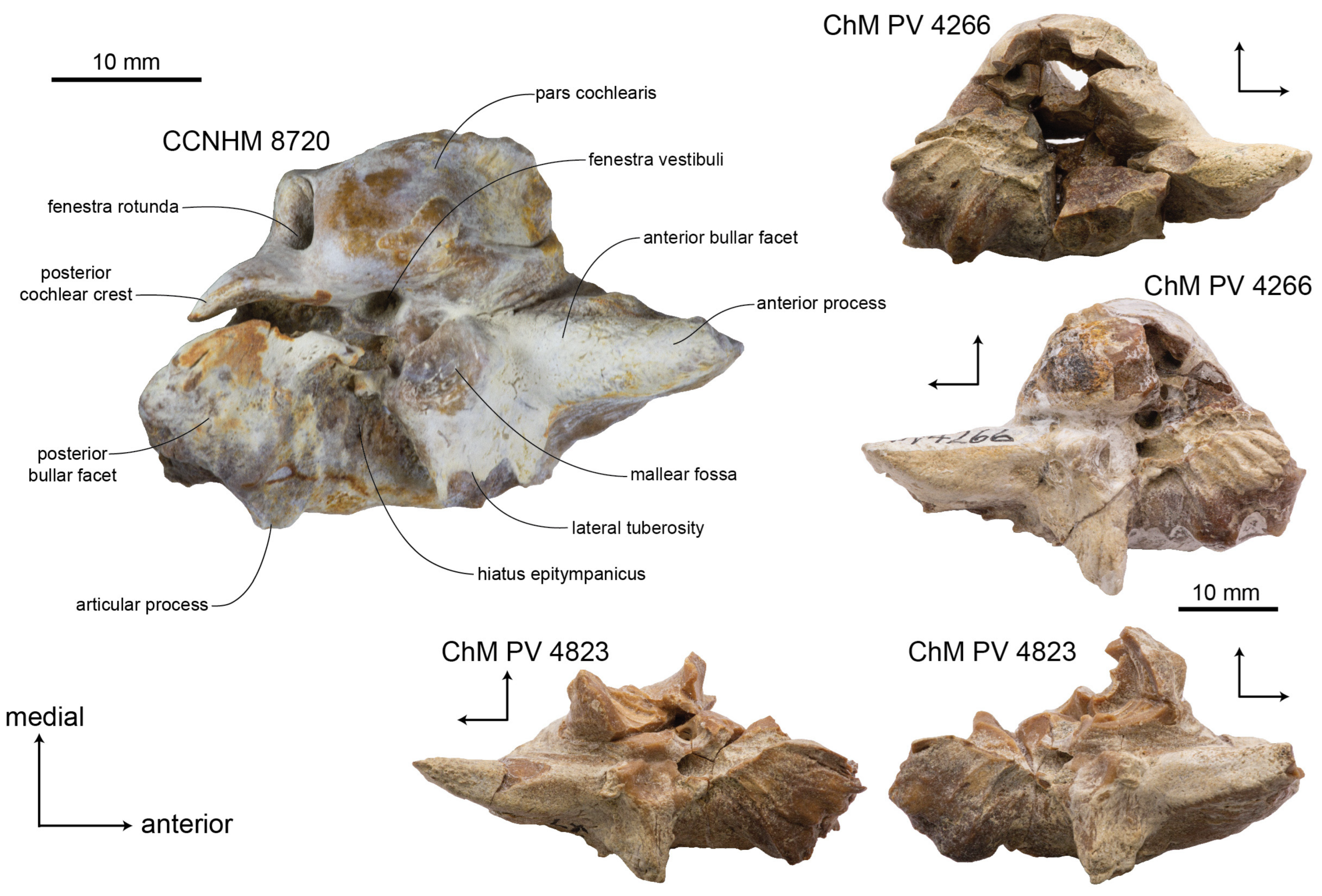 Diversity 15 01154 g009