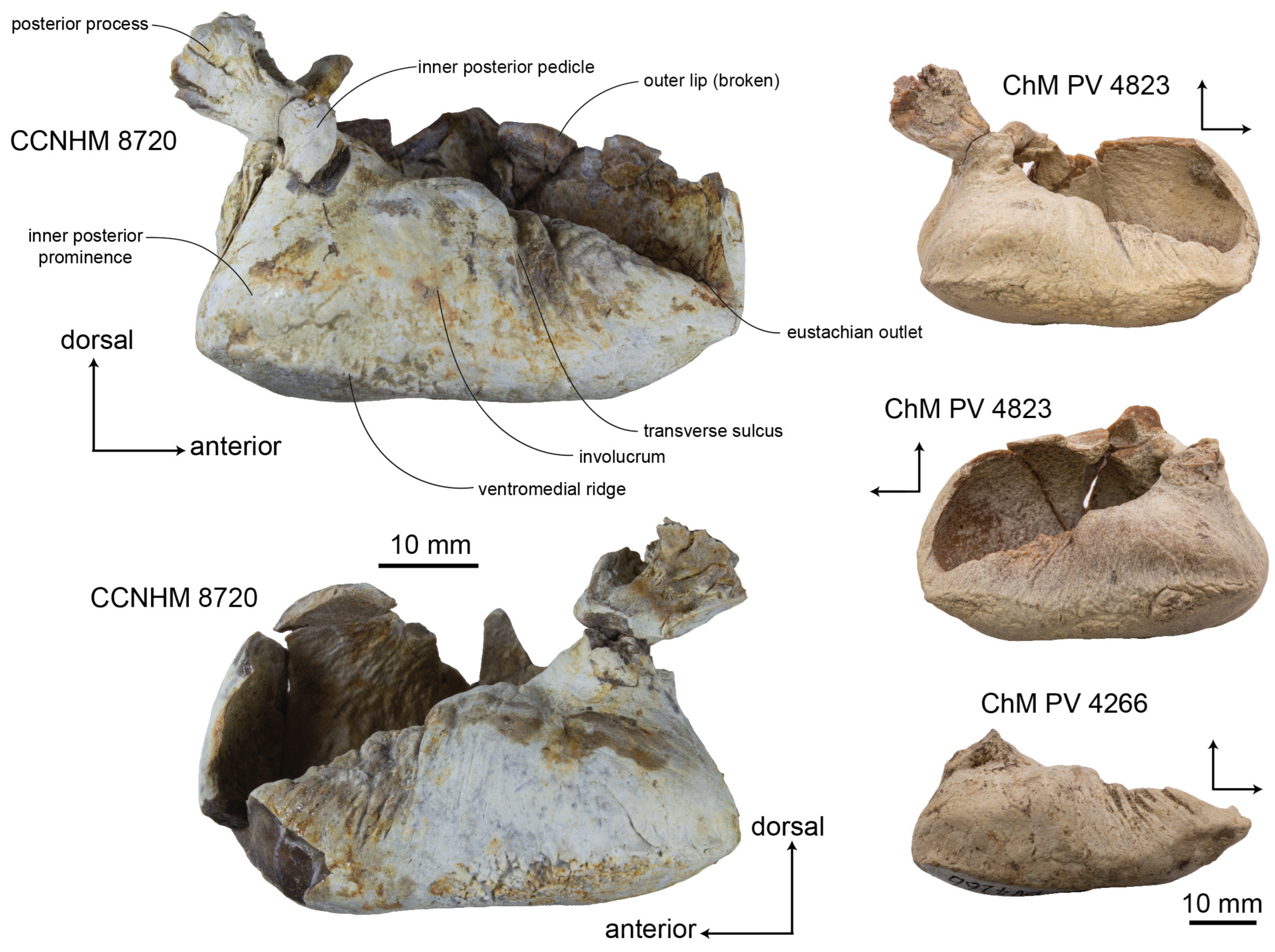 Diversity 15 01154 g013